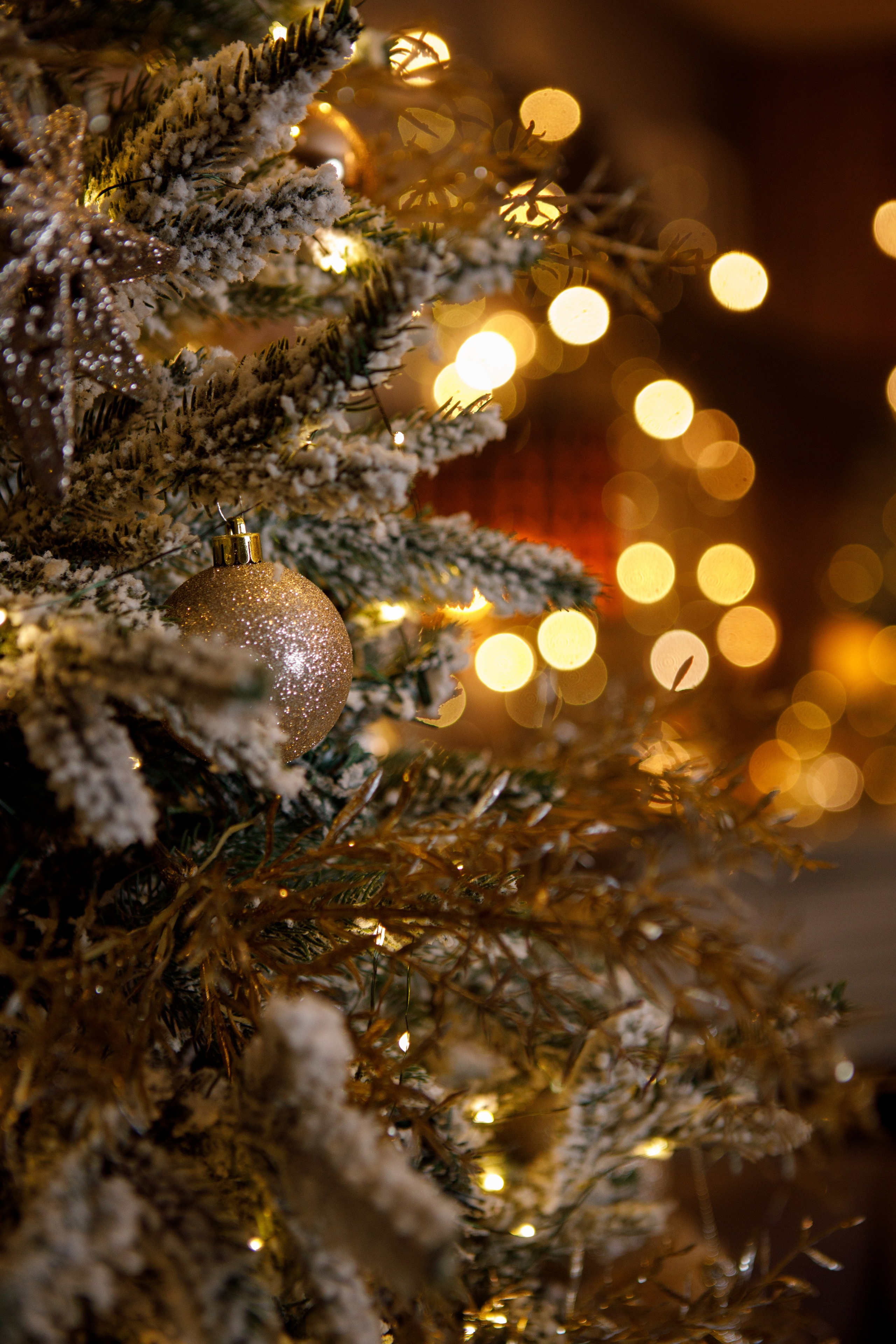 Семейная новогодняя фотосессия Петропавловск. Свадебный и Семейный фотограф в Петрпавловске