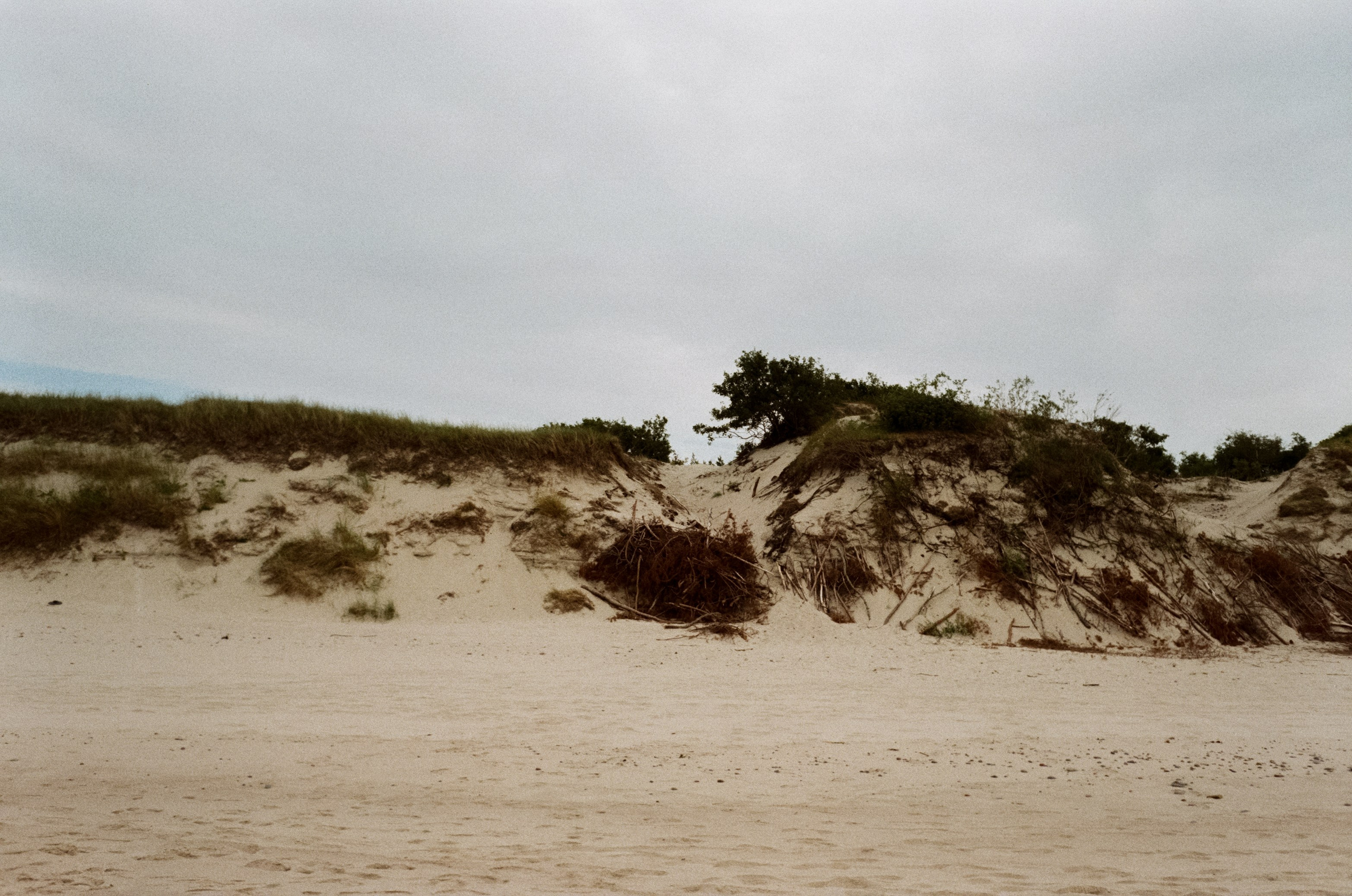 Зеленоградск Курортный проспект, Куршская коса / Minox 35 GT (2)