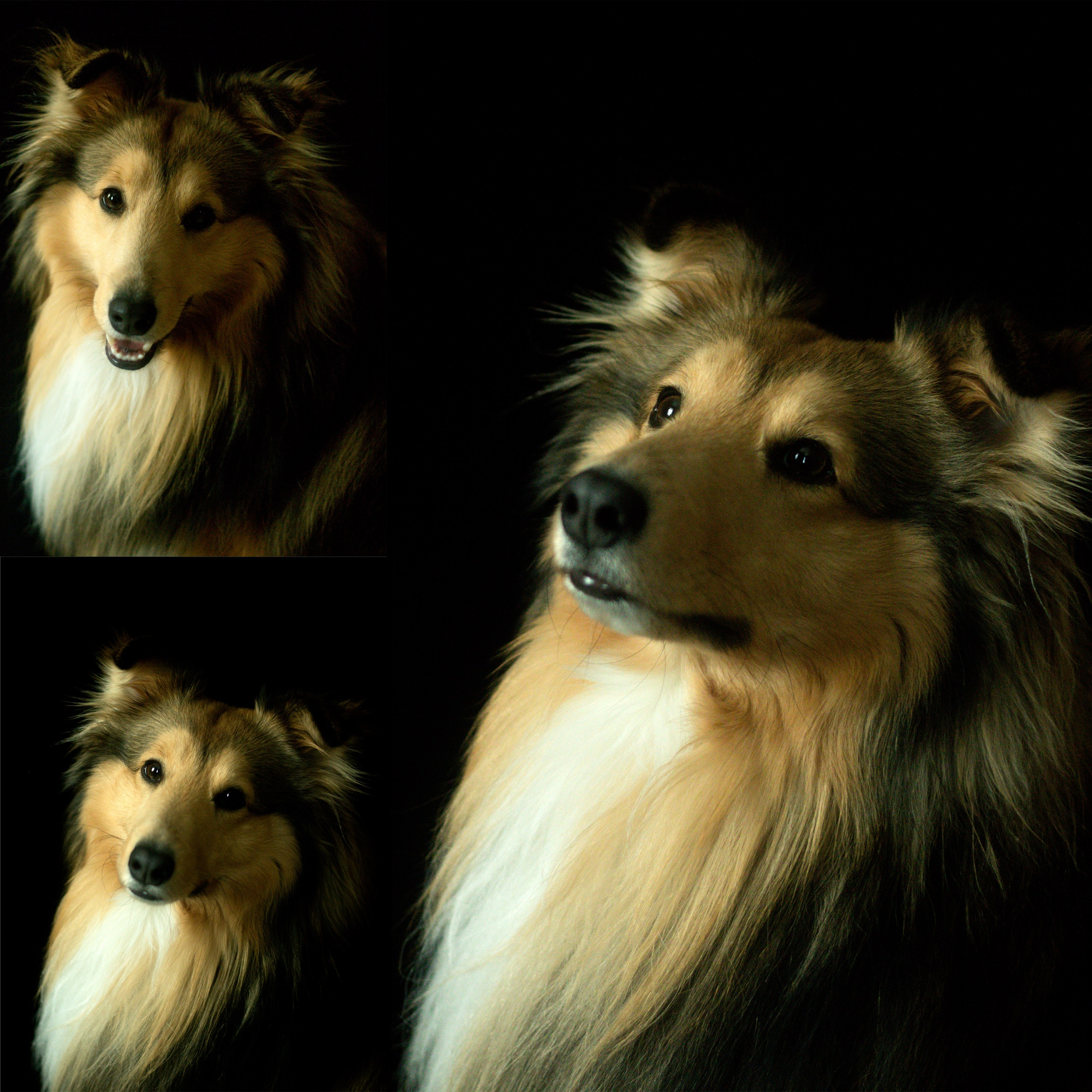 Коллажи. Катя Попова|ЛайфСтайл фотограф