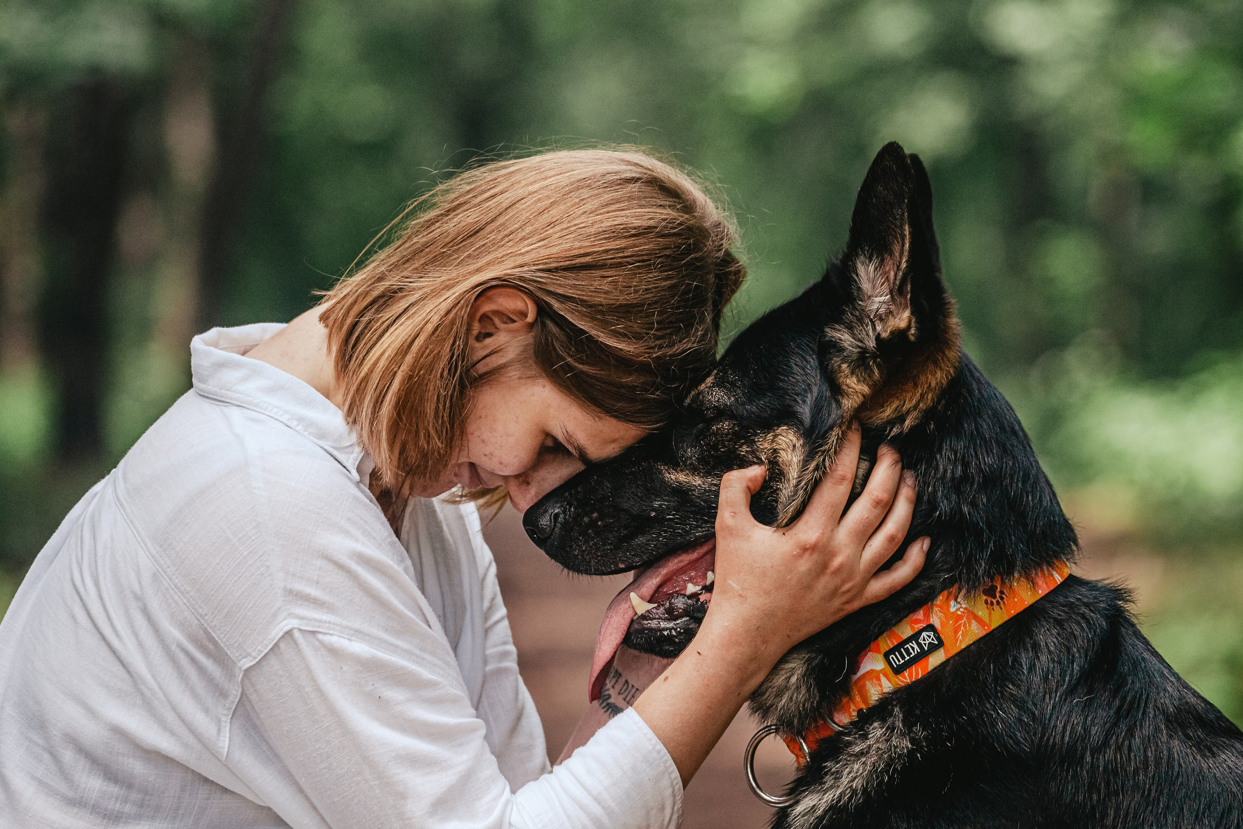 Лесная летняя фотопрогулка. Фотограф-анималист Татьяна Степанова