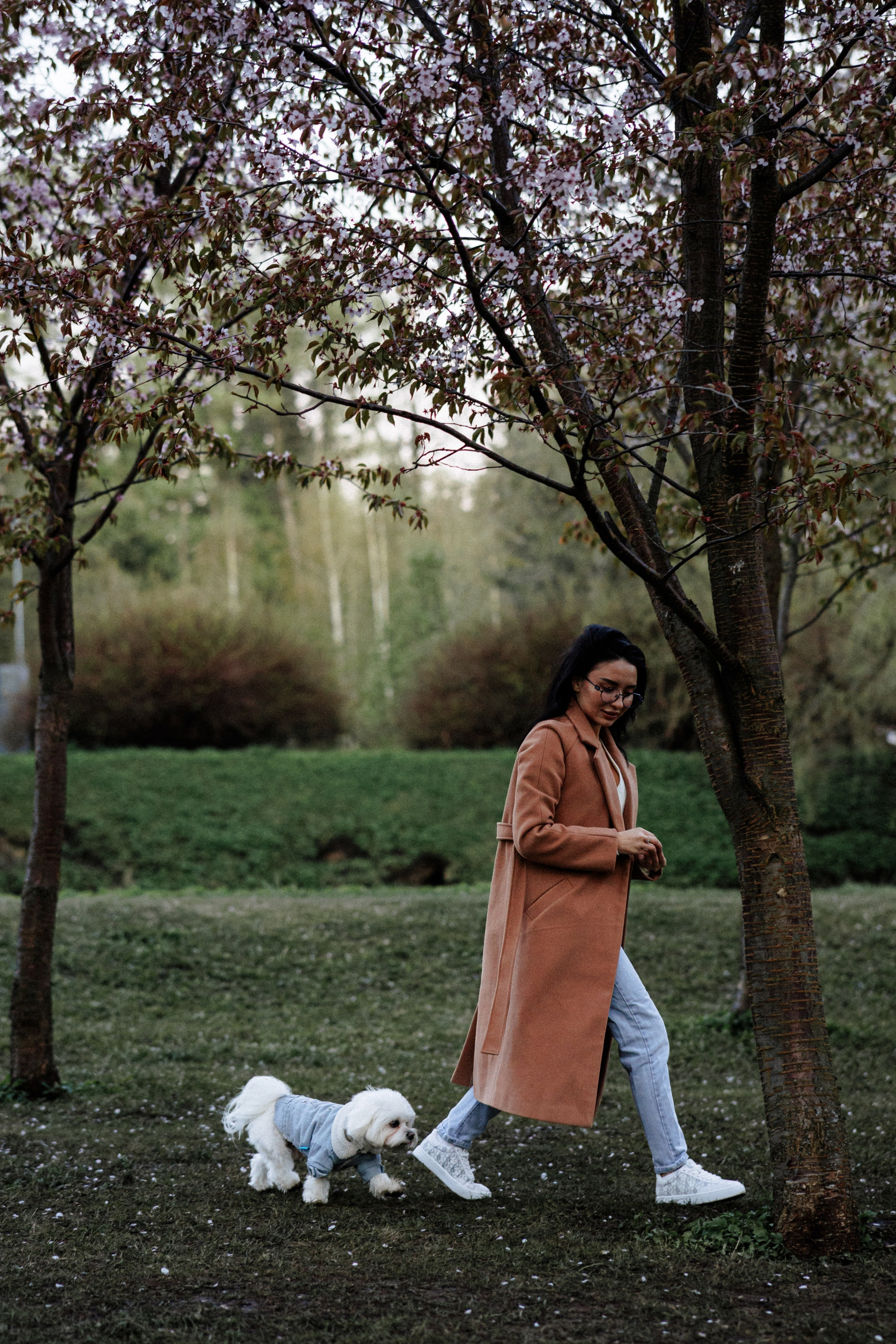 Алёна и Мирон. Фотограф в Санкт-Петербурге Алёна Губинская