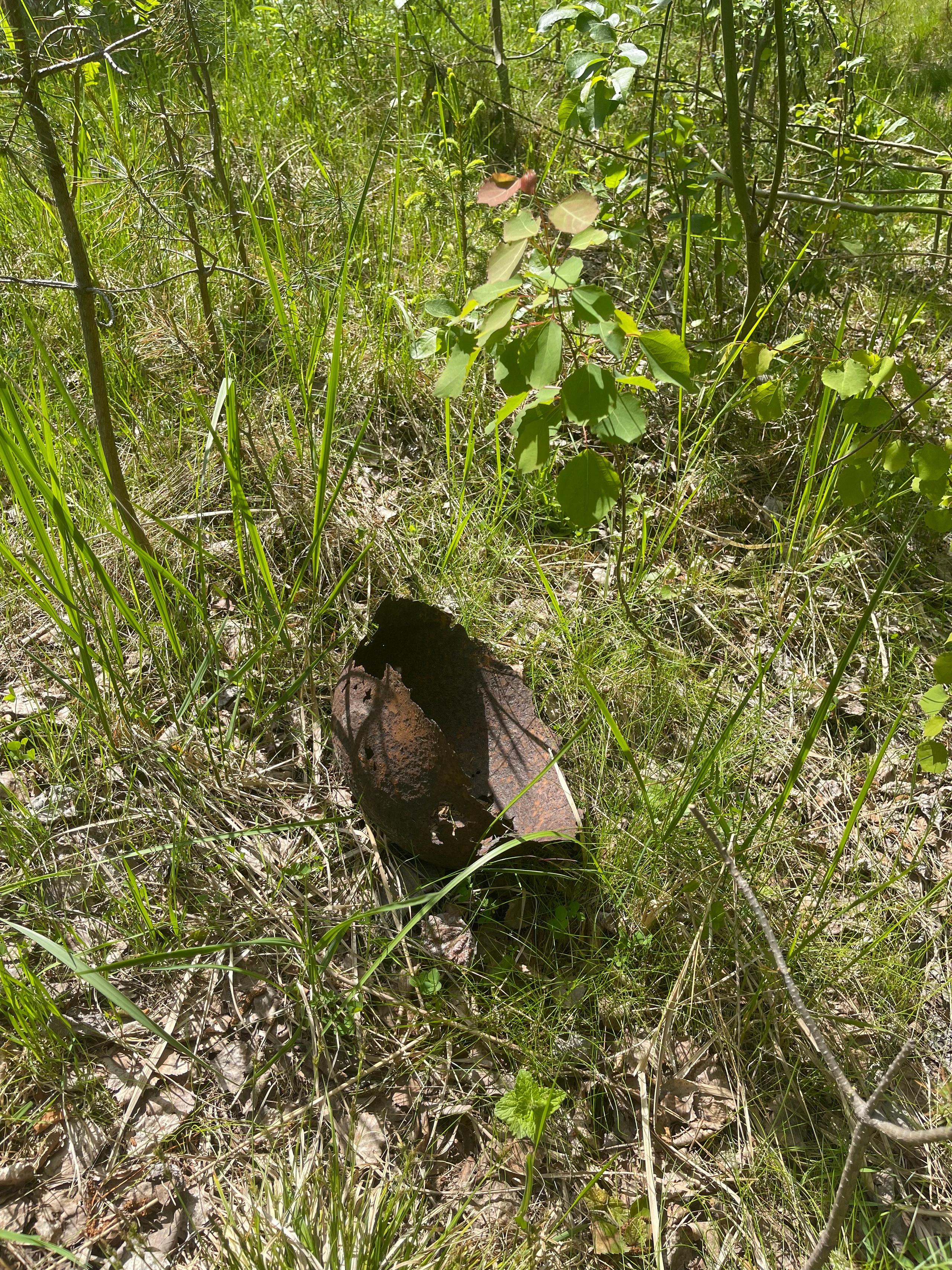 Ладога Трофи. Своя Мастерская