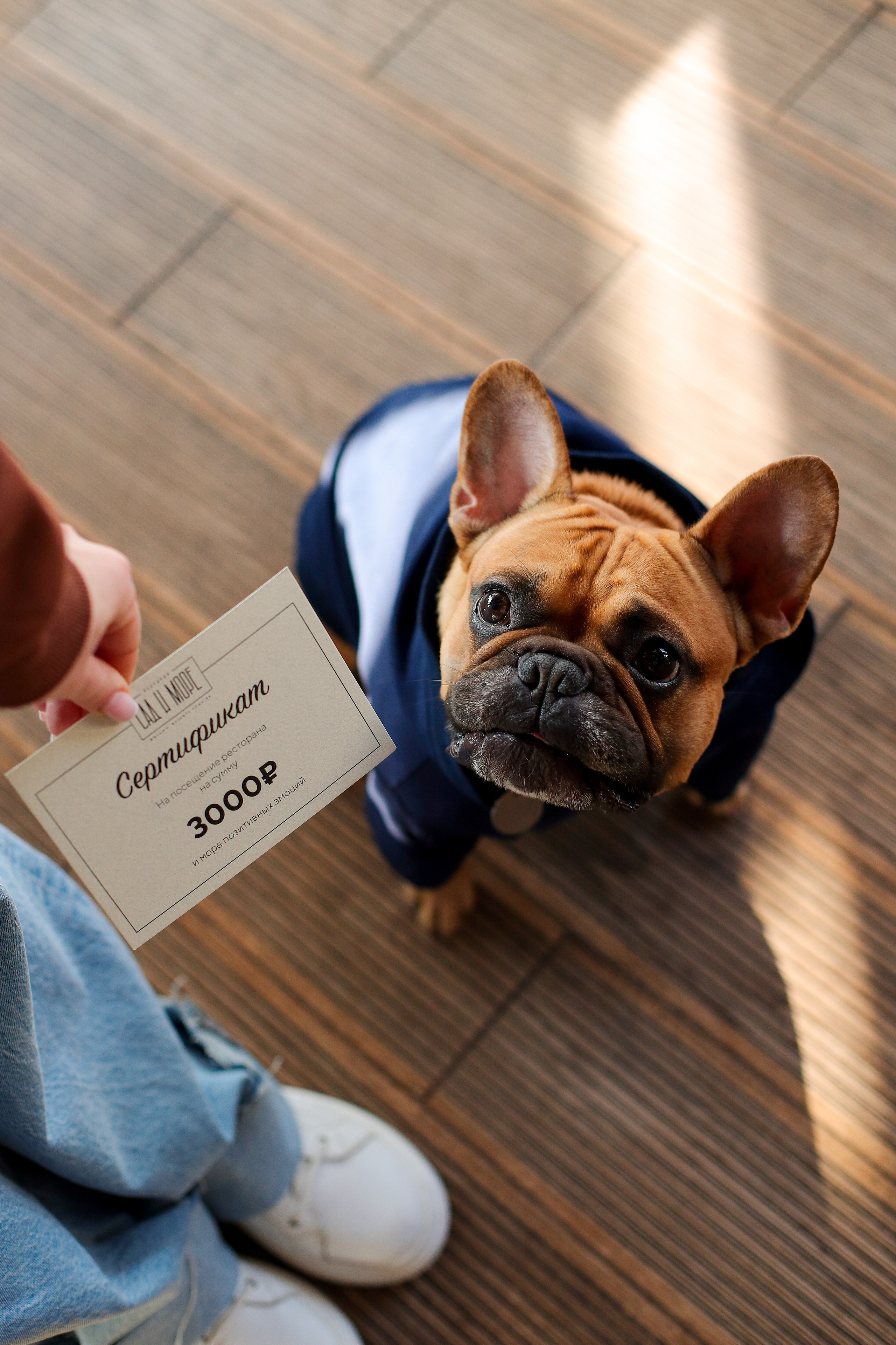 Контент общепит. Фотограф в Анапе и Геленджике