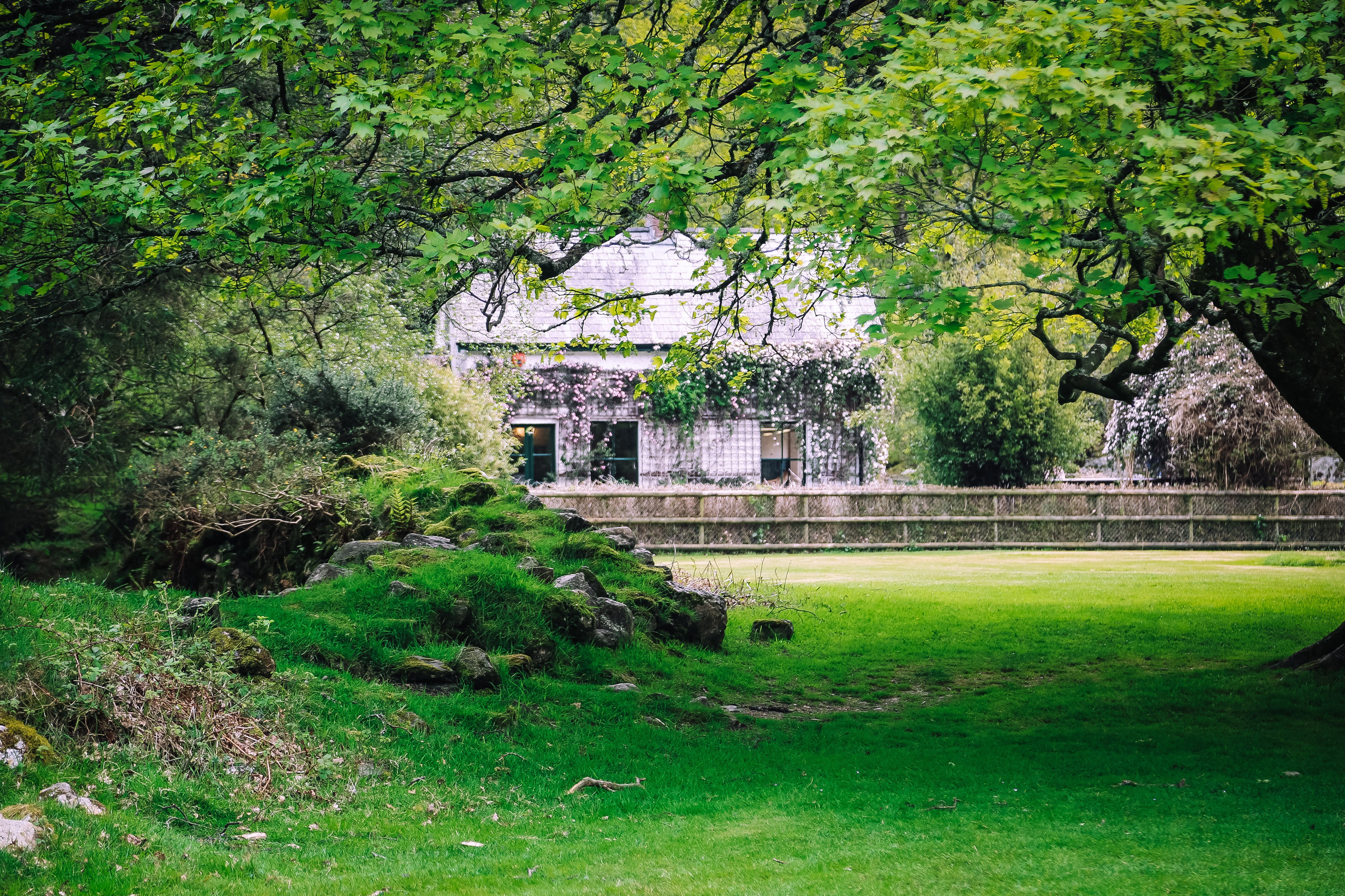 Ирландия: Горы Уиклоу. Дарья Письменюк / Darya Leitstern — фотограф, музыкант, журналист, путешественник