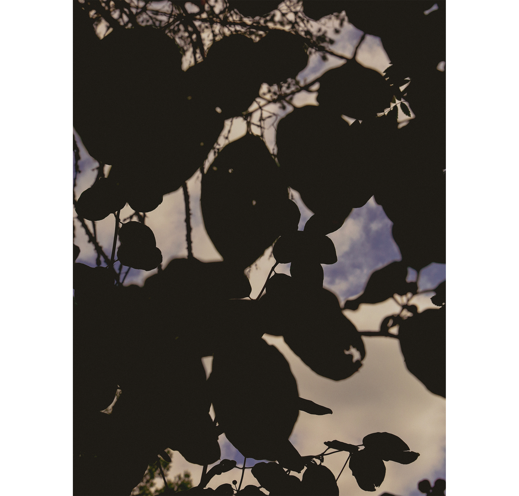 Summer hike. Фотограф/дизайнер в Екатеринбурге Хитрый Дмитрий