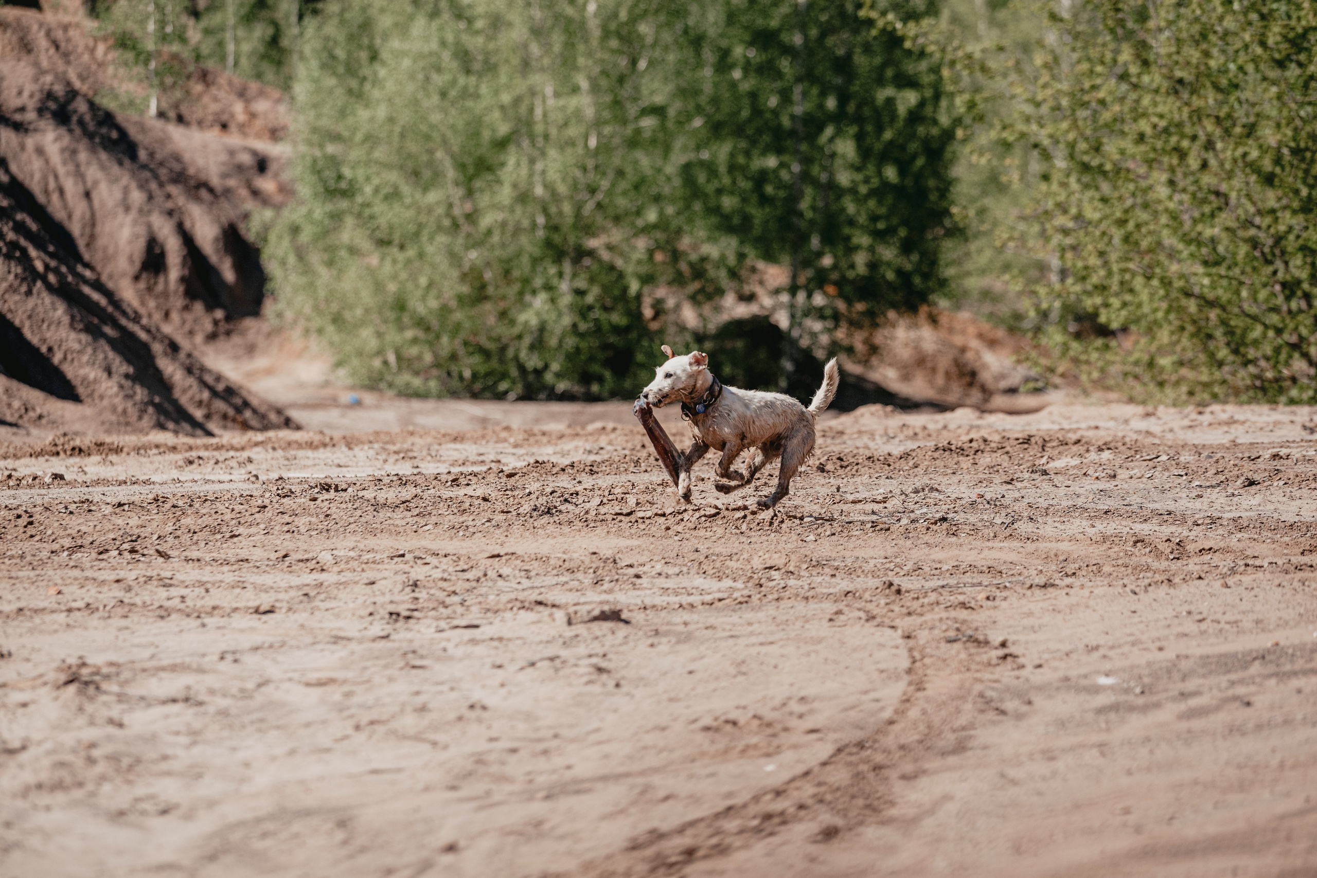 Кондуки. Фотограф-анималист Татьяна Степанова
