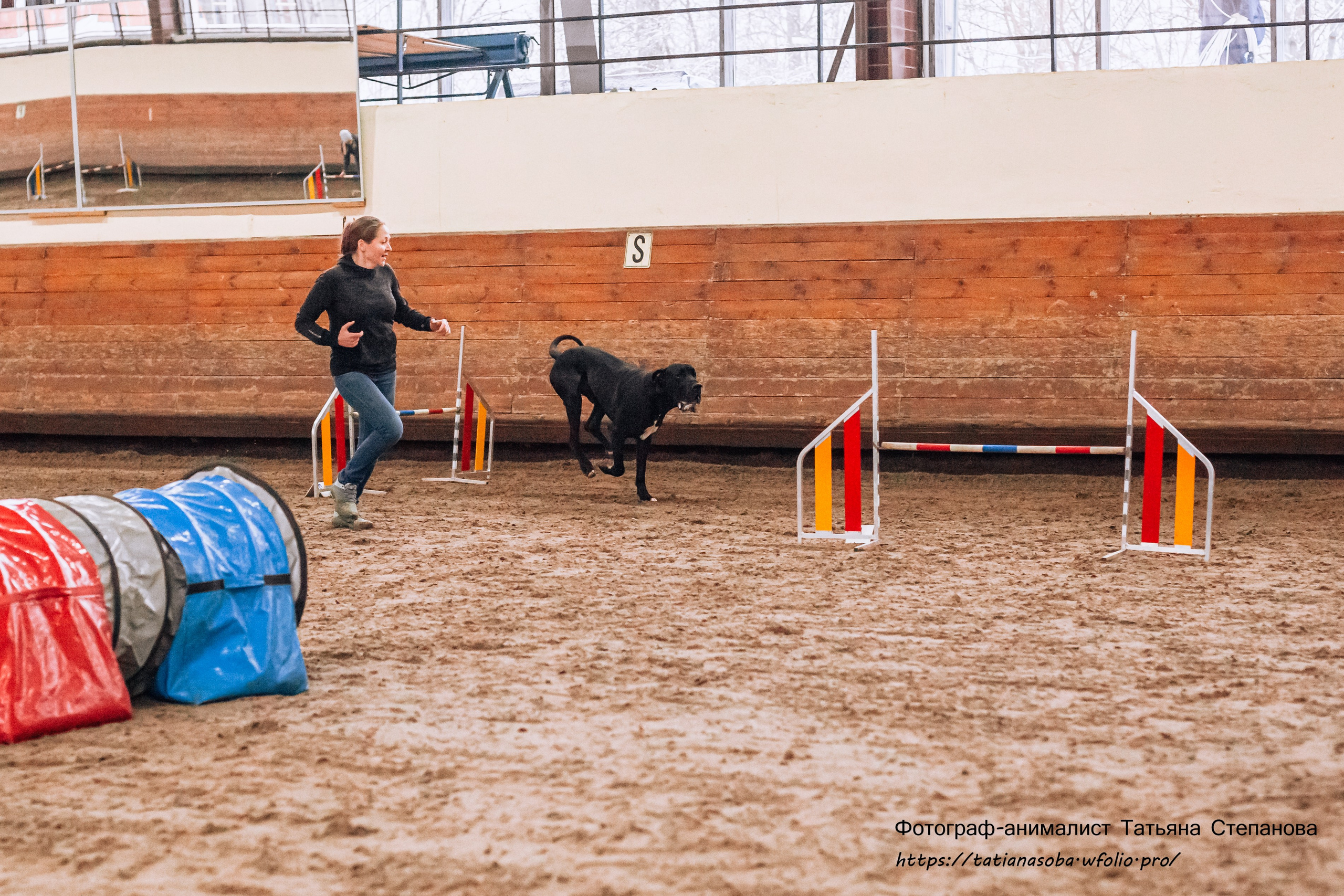 Соревнования по Аджилити 25.02.2024. Фотограф-анималист Татьяна Степанова