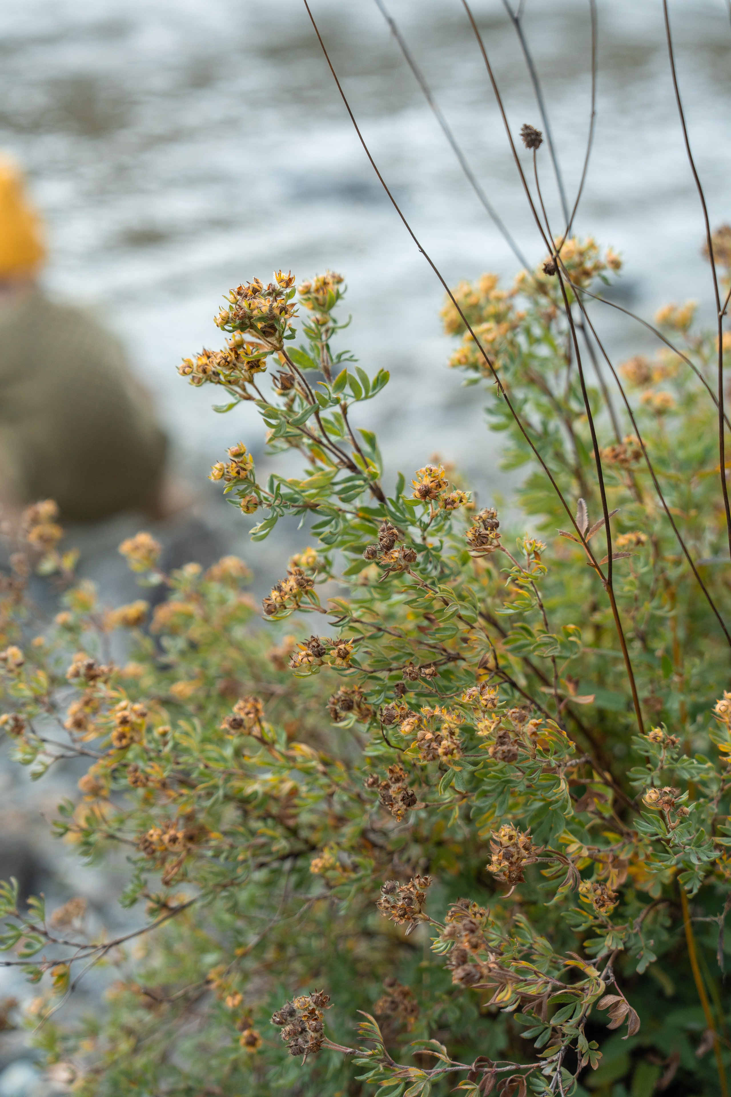 Семейная фотосессия в Москве для большой семьи. Свадебный фотограф в Москве Анна Полушина