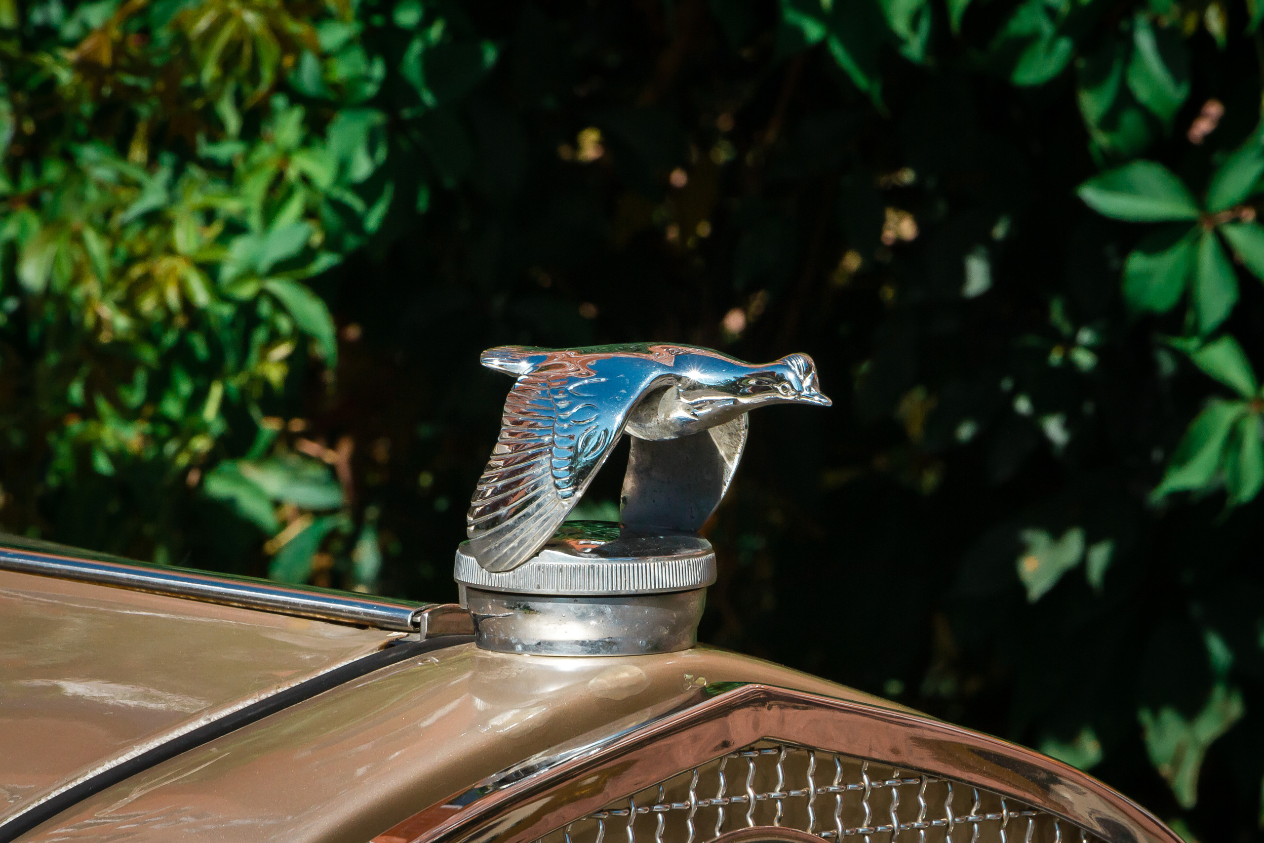 Елена и Роман. Фотографиня Мария Дикова