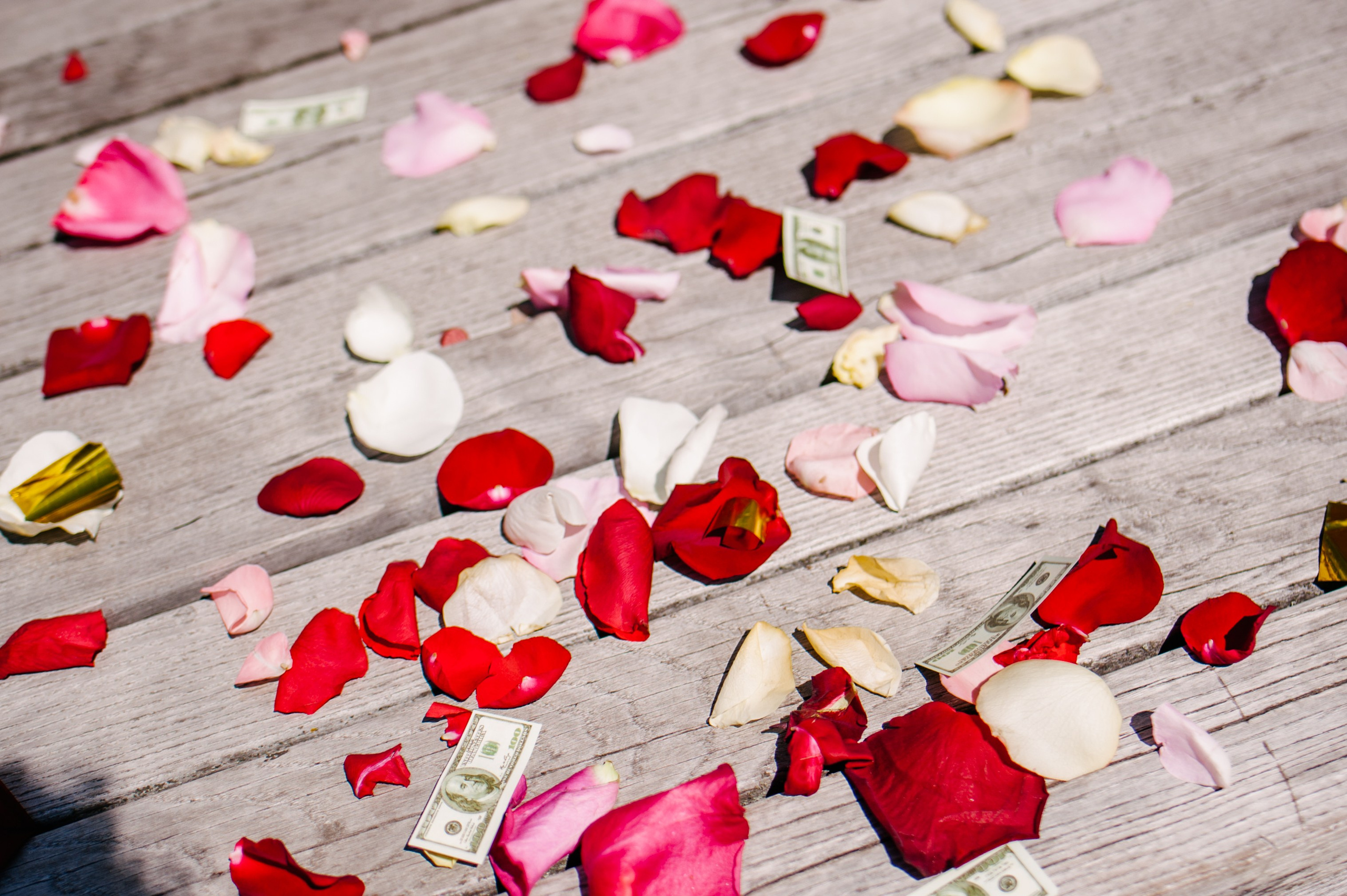 Екатерина и Ярослав. Свадьба, Зеленоград. Семейный фотограф Анна Дубовская