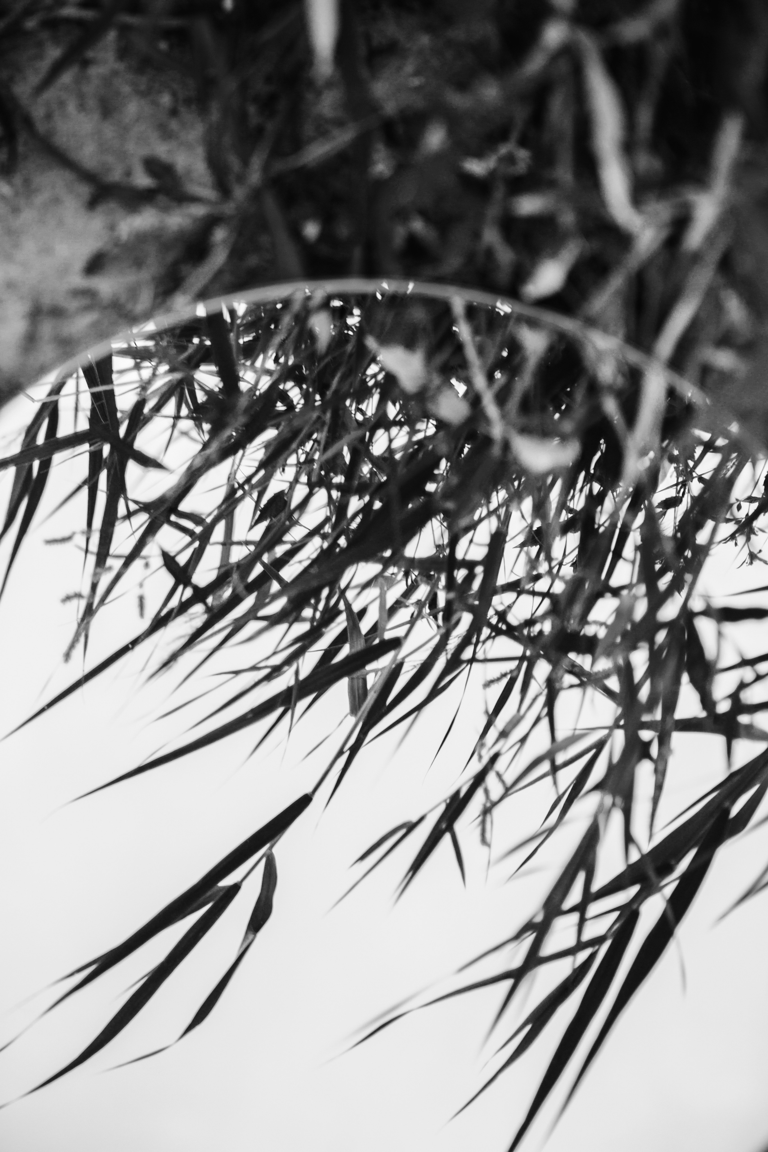 Анна (на побережье). Семейный и свадебный фотограф в Воронеже Майя Добровольская