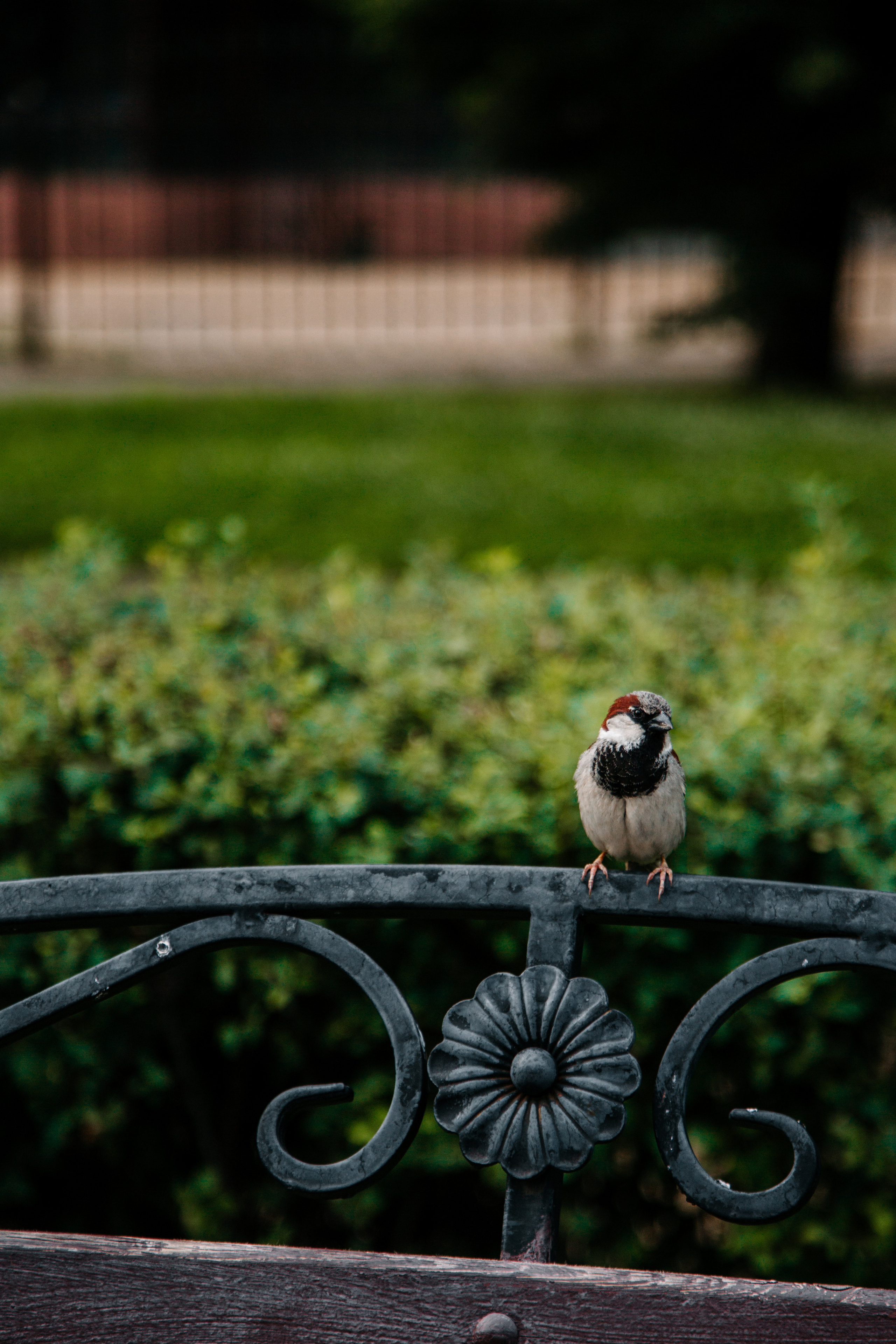 • Анастасия & Антон •. Семейный и свадебный фотограф в Воронеже Майя Добровольская