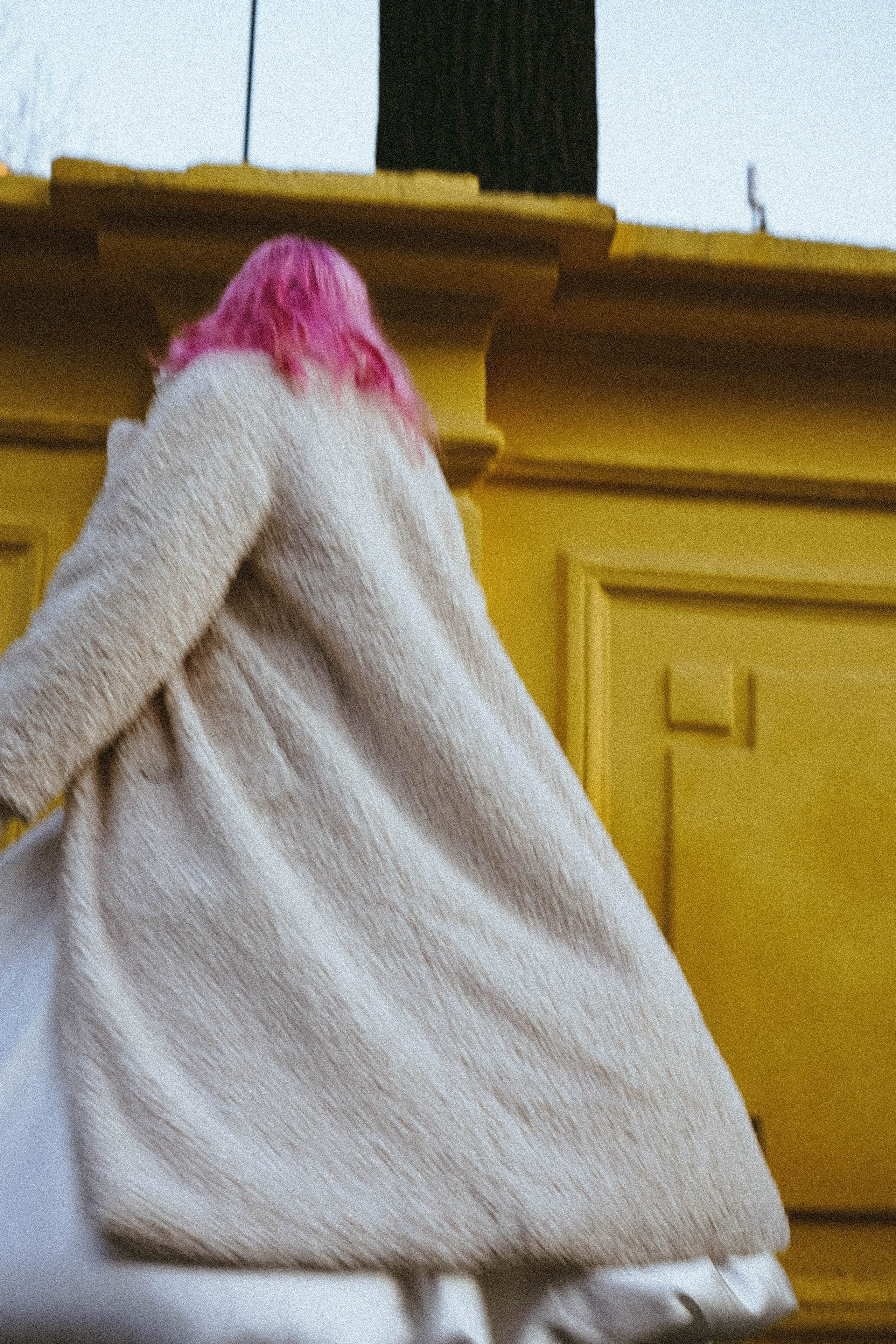 Прогулочная фотосессия с тюльпанами. Профессиональный фотограф, Санкт-Петербург — Виктория Богомолова