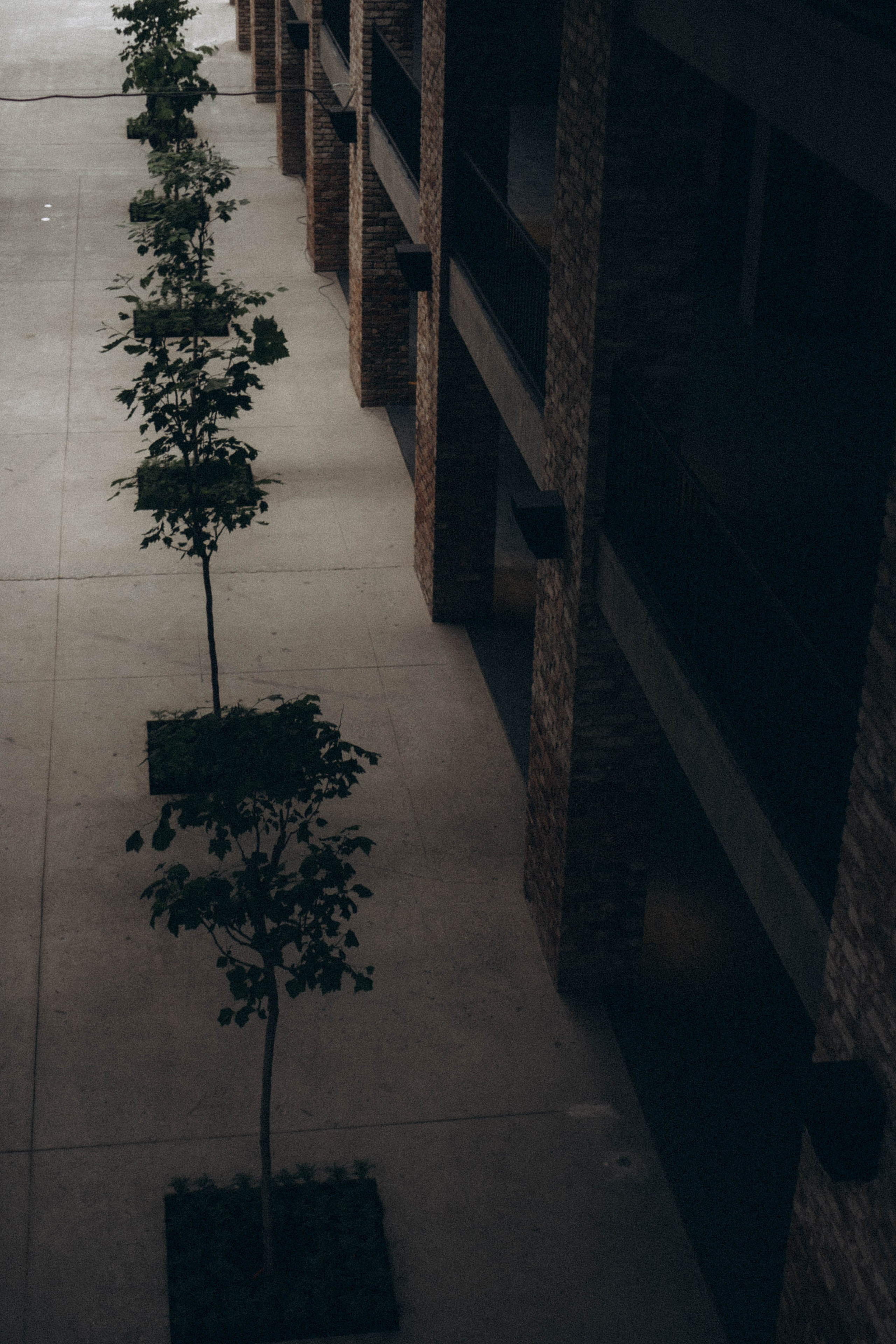 Кавказ. Профессиональный фотограф, Санкт-Петербург — Виктория Богомолова