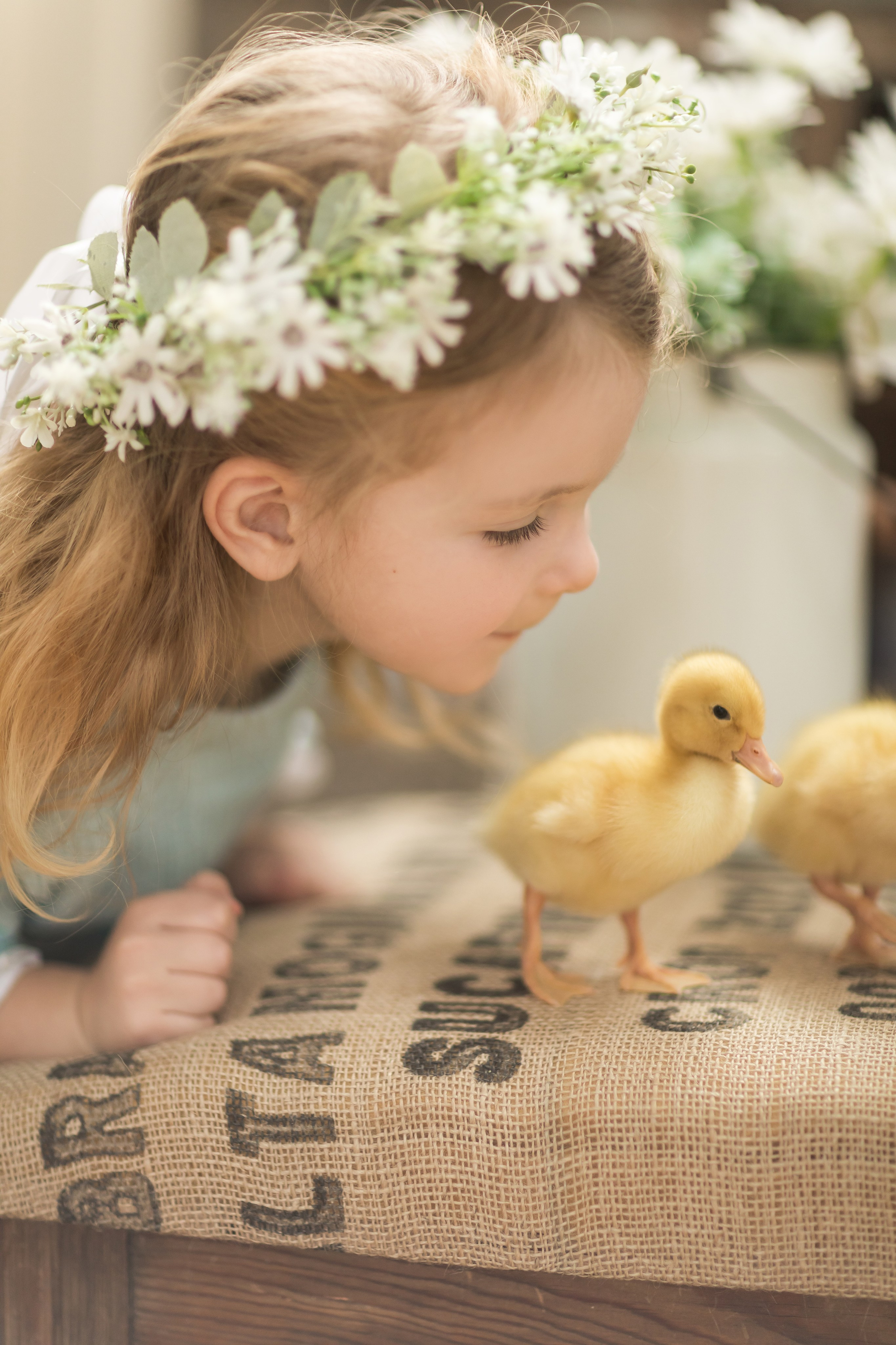 Пасха с животными (3,4 апреля). Семейный и детский фотограф Краснодар Валерия Власенко