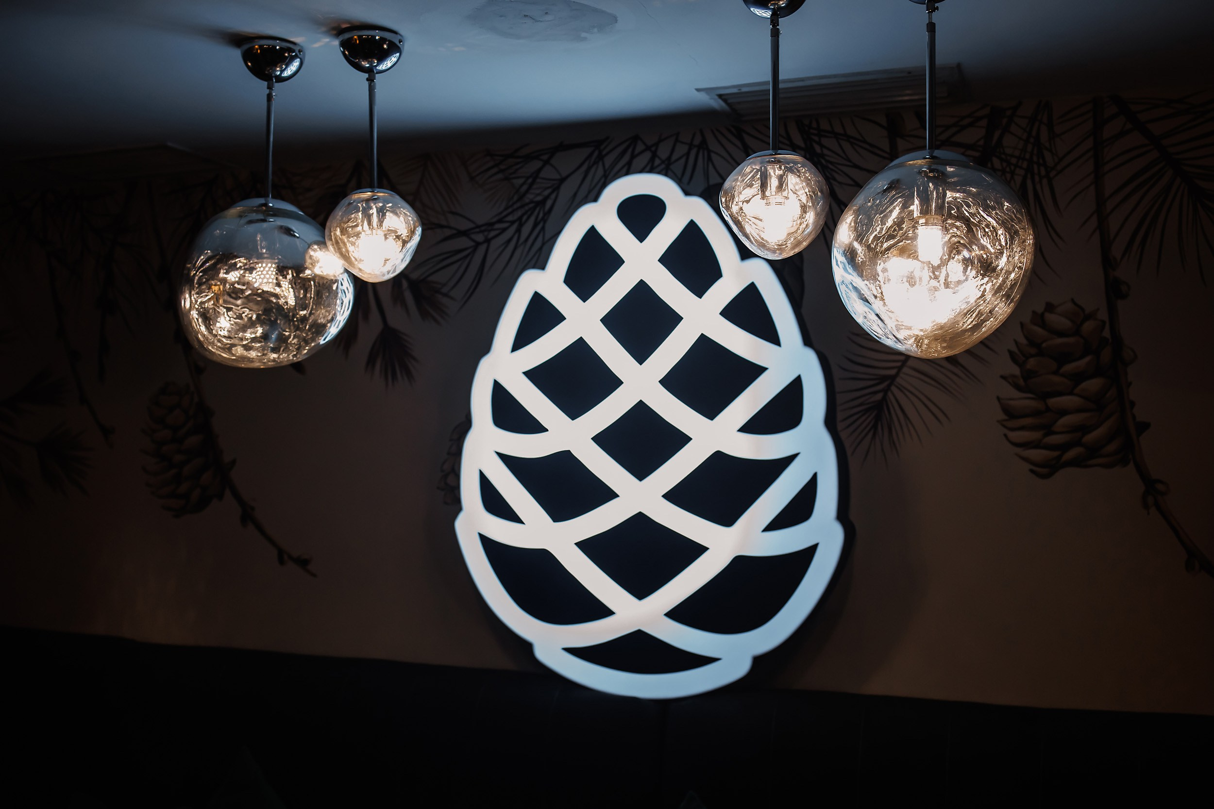 Шишка. Кипятком Павлодар