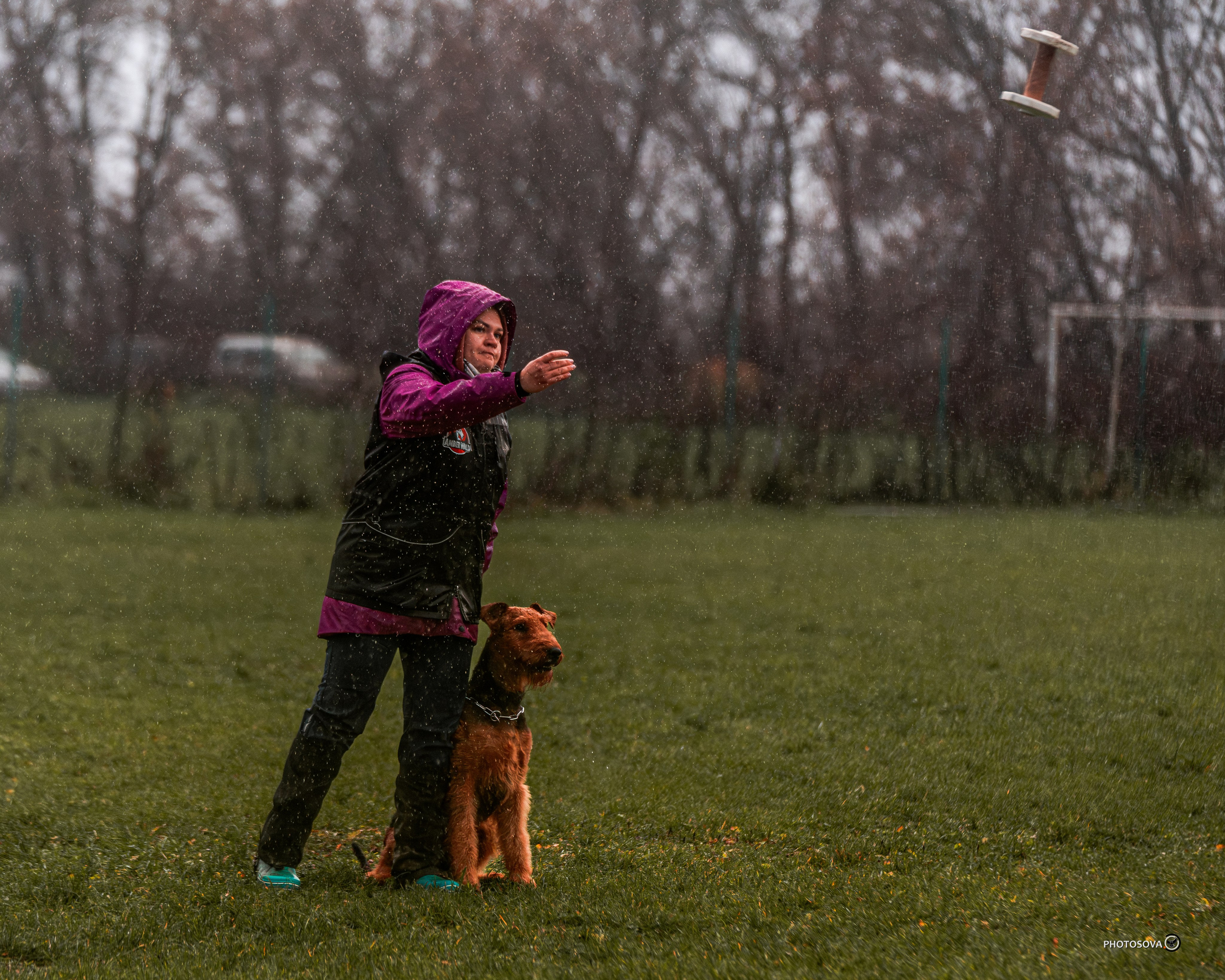 МЫ — КОМАНДА (соревнования) OKD, BH, IBGH, IGP. Фотограф-анималист, семейный фотограф в Москве и Подмосковье. Фотосъёмка кинологических дисциплин