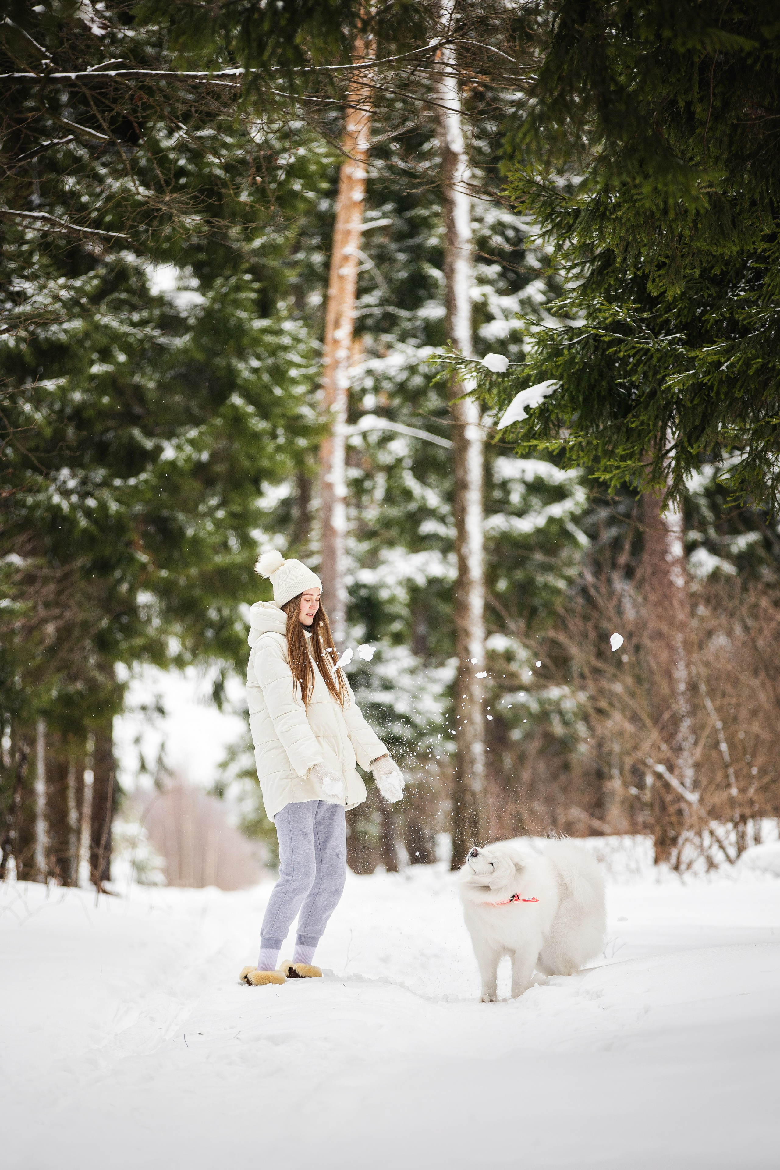 Валя, Варя и Лада. Фотограф анималист в Москве Майорова Евгения