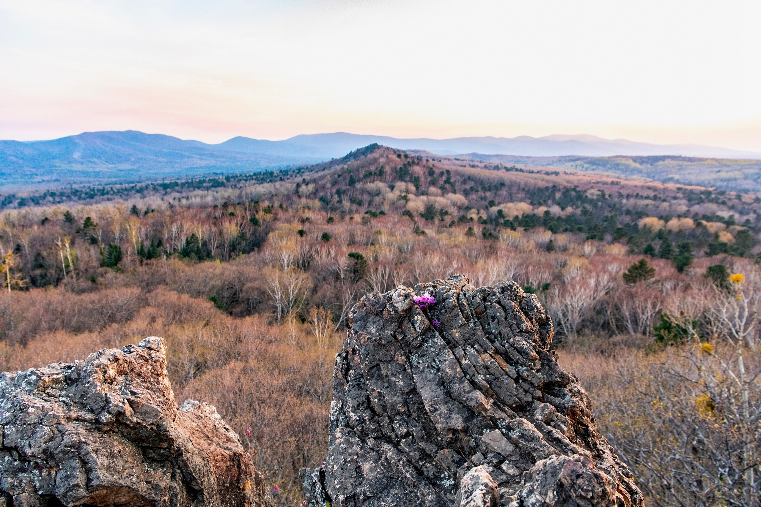 Природа Хабаровского края. Команда фотографов Кристины Ивановой