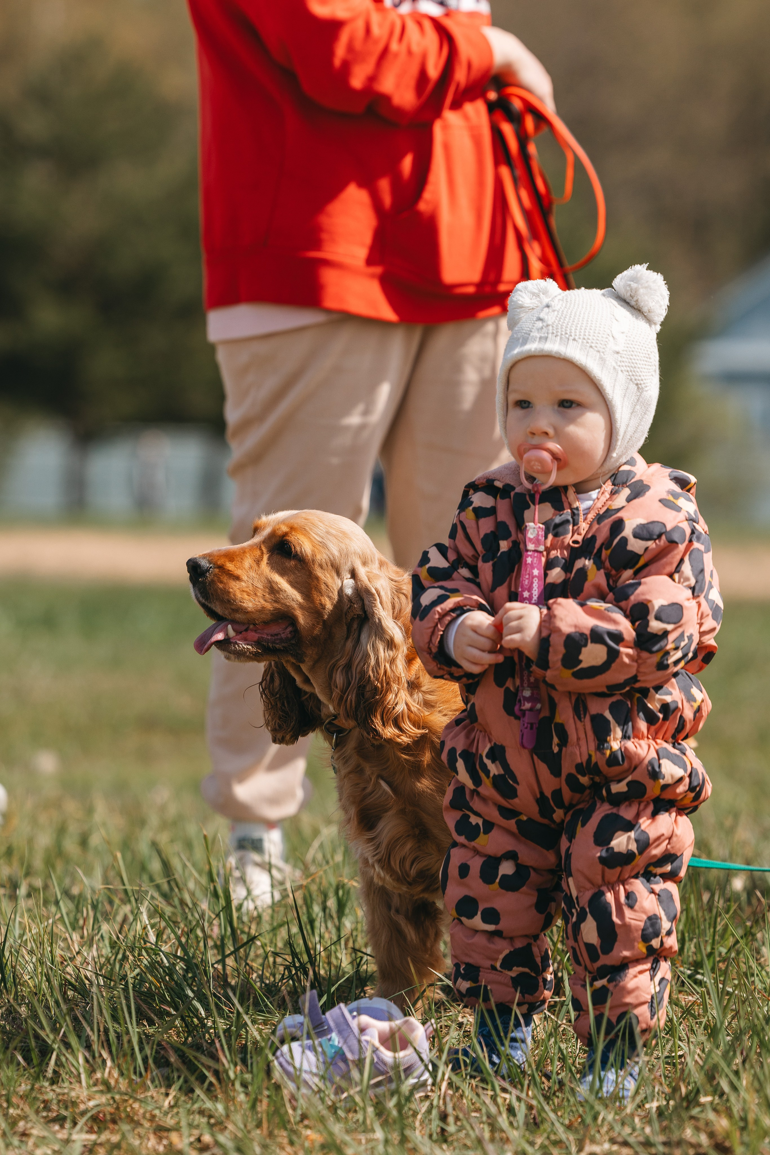 Спанимания. Фотограф анималист Осипчикова Мария