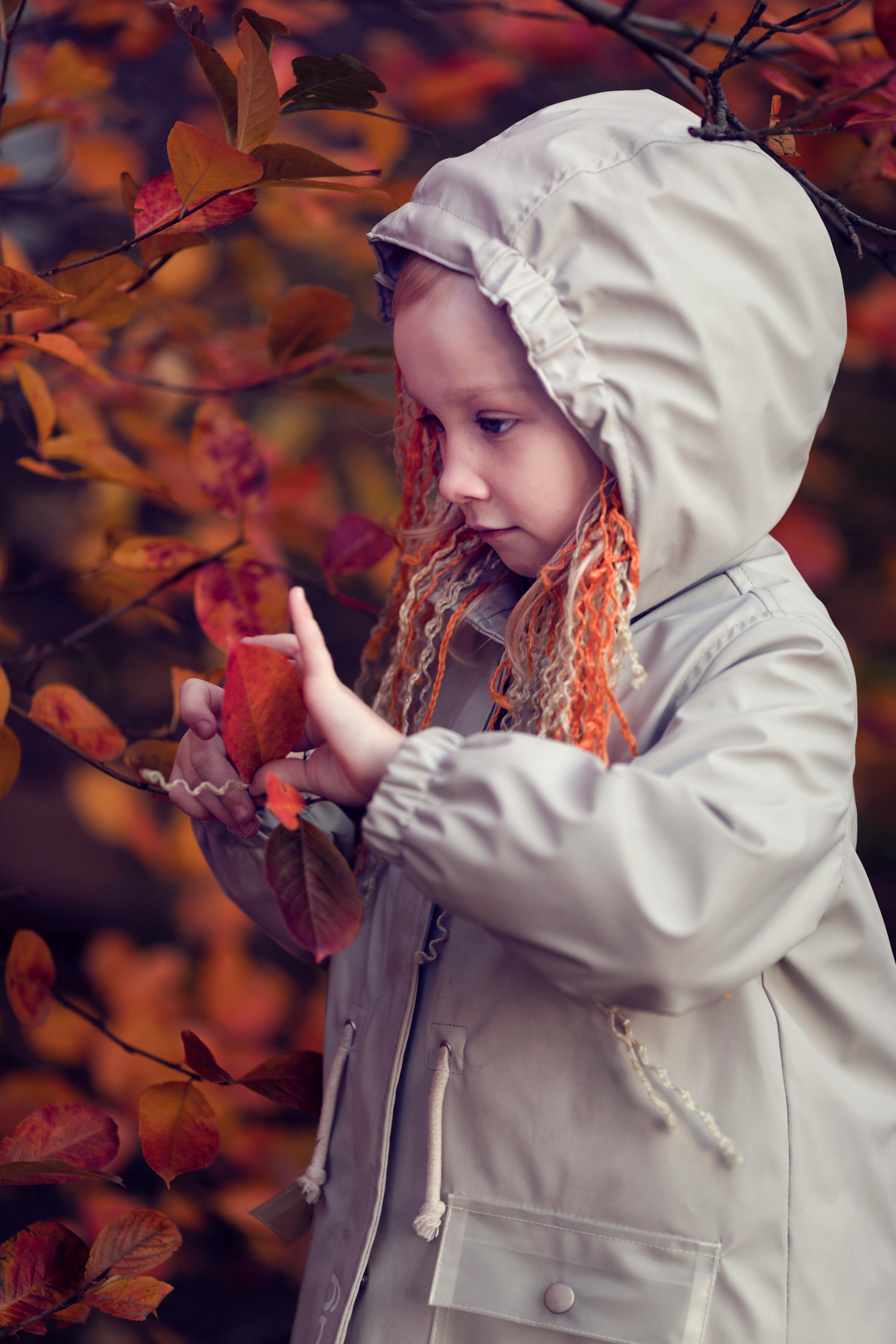 ПРОЕКТ «ОСЕНЬ». ФотоХудожник Харитонова Ирина г. Санкт-Петербург