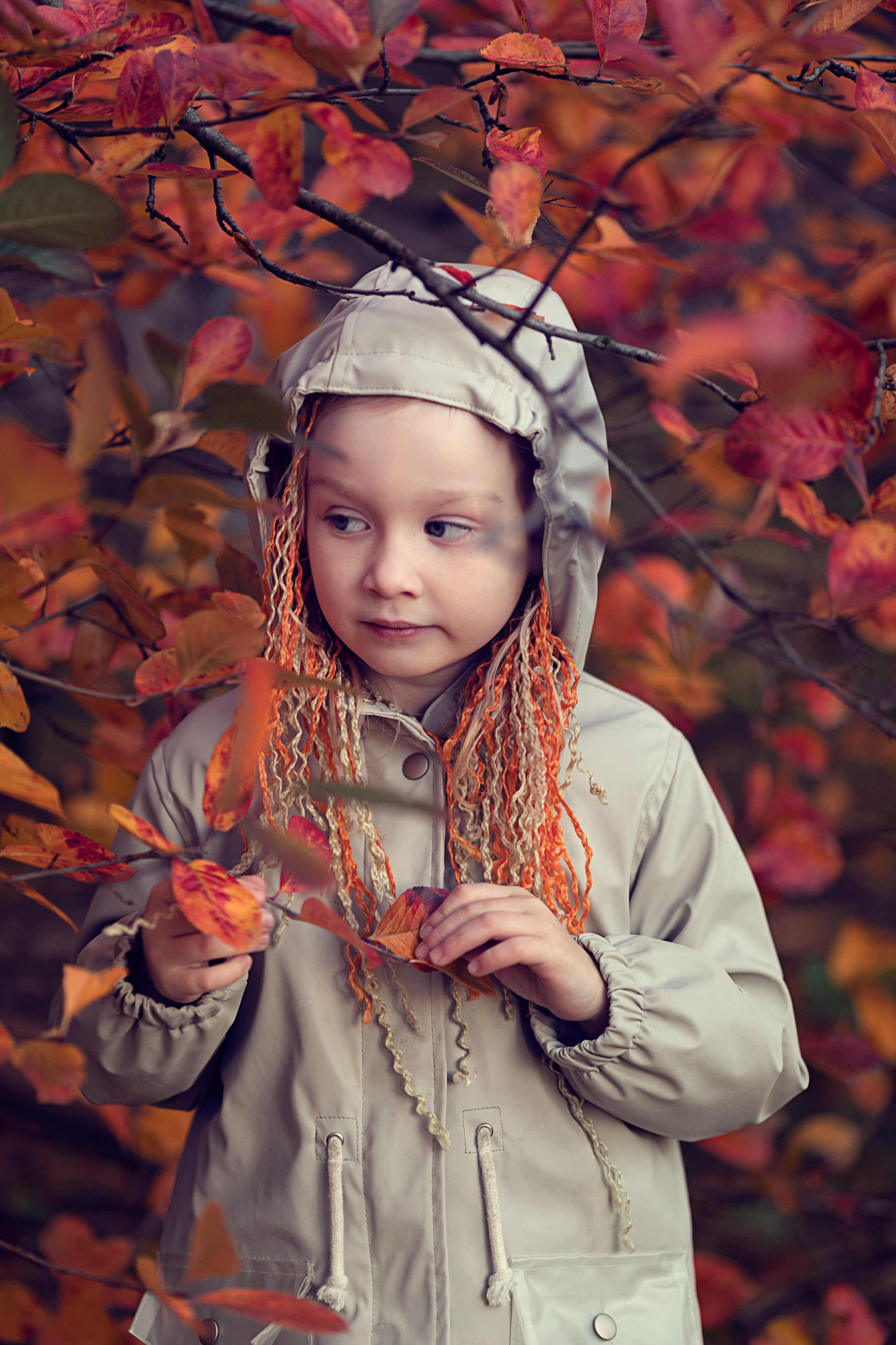ПРОЕКТ «ОСЕНЬ». ФотоХудожник Харитонова Ирина г. Санкт-Петербург