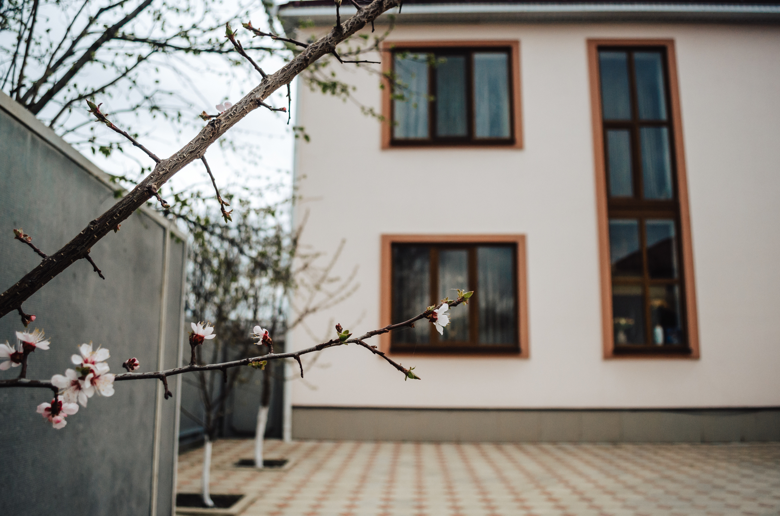 Свадьба в г.Пятигорск. Свадебный фотограф Ольга Дзюба. Фотограф Ольга Дзюба. Фототерапия как зеркало души. КМВ