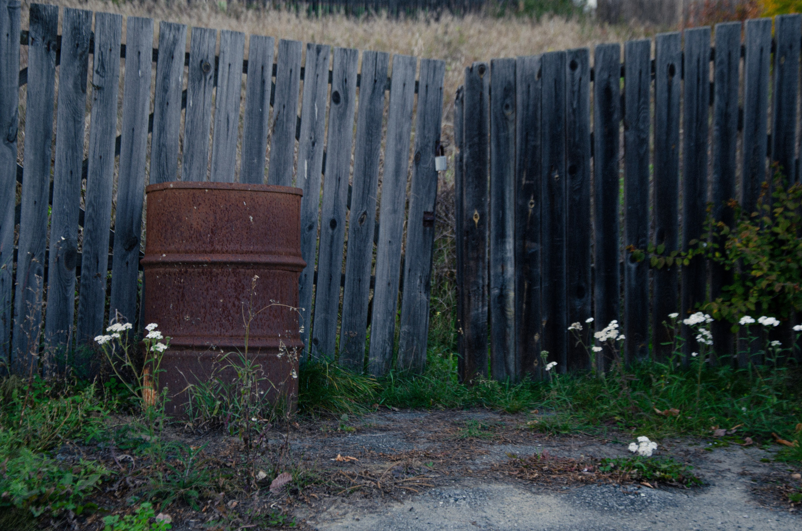 Осенняя фотопрогулка. Фаниса Портретный фотограф в Тюмени