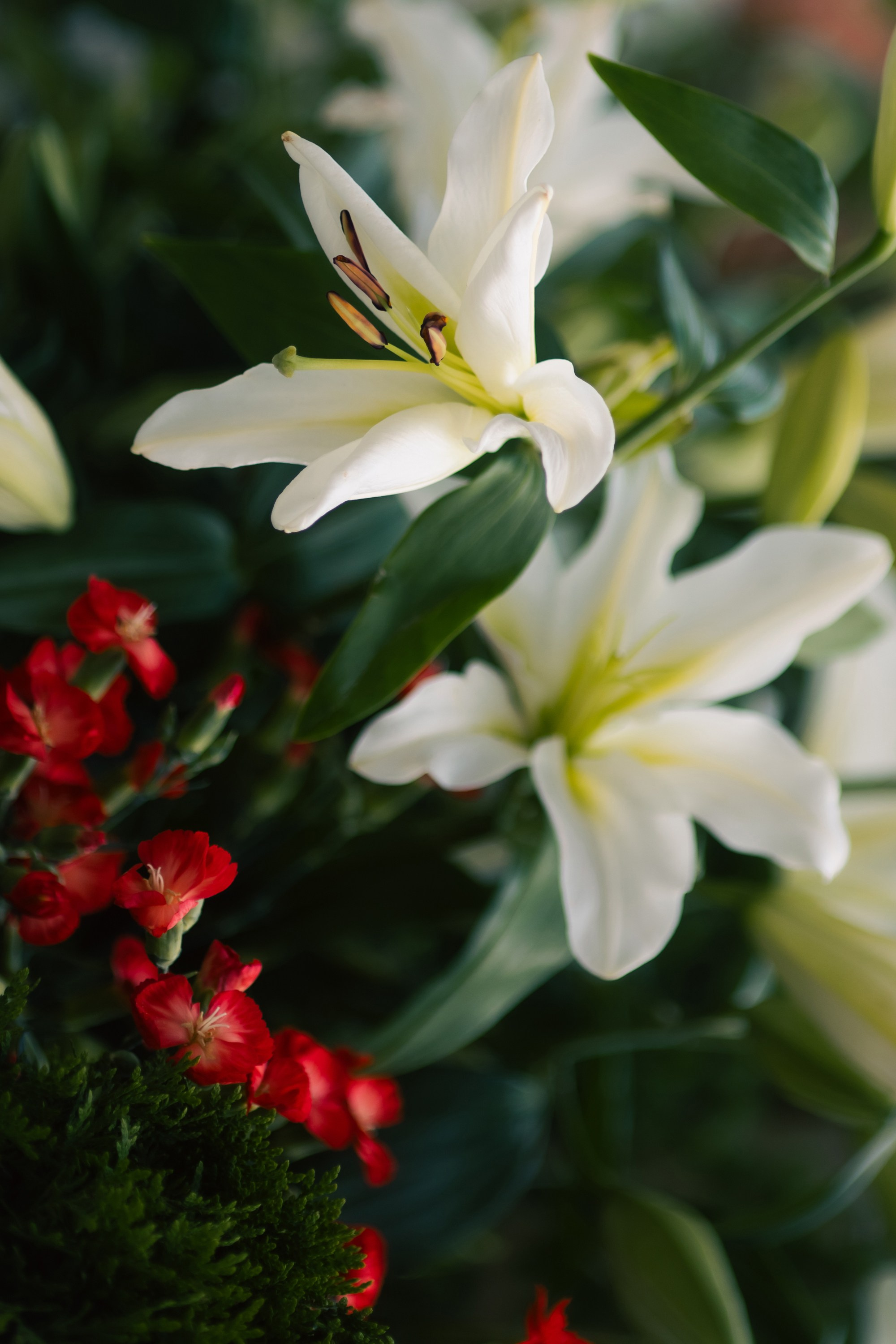 В | M. Свадебный фотограф Капаева Виктория