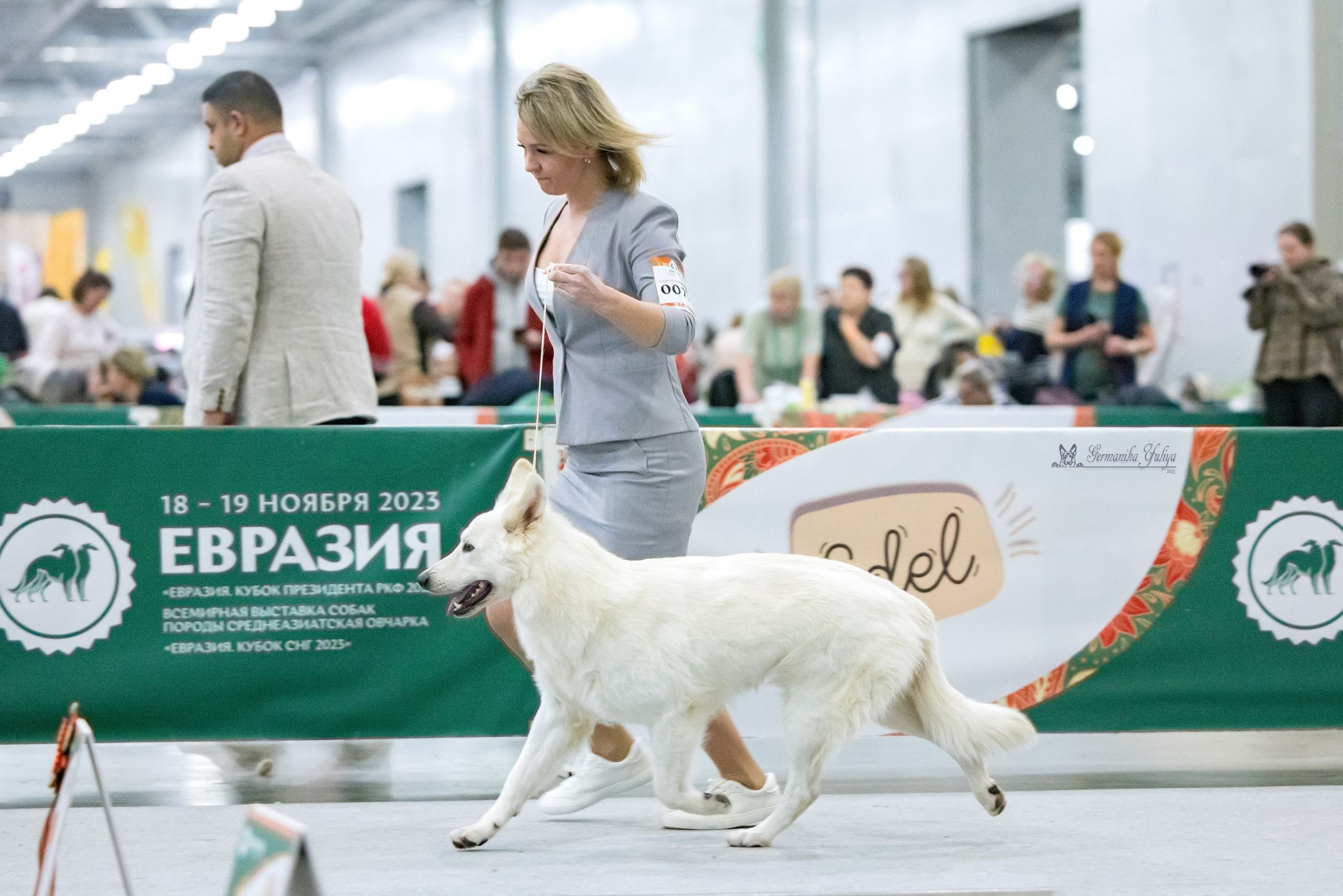 ЕВРАЗИЯ 18-19.11.2023. Фотограф-анималист Юлия Германика