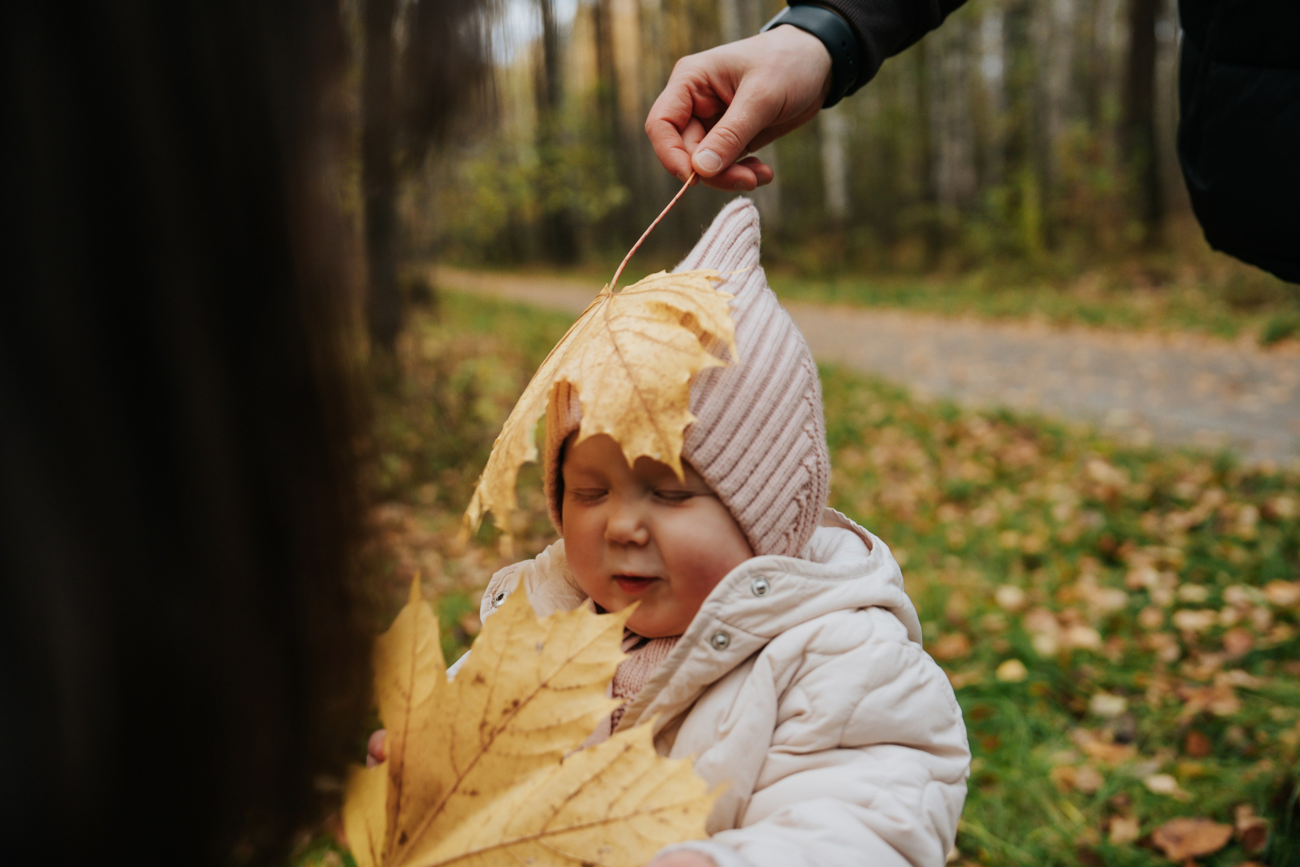 Первая осень