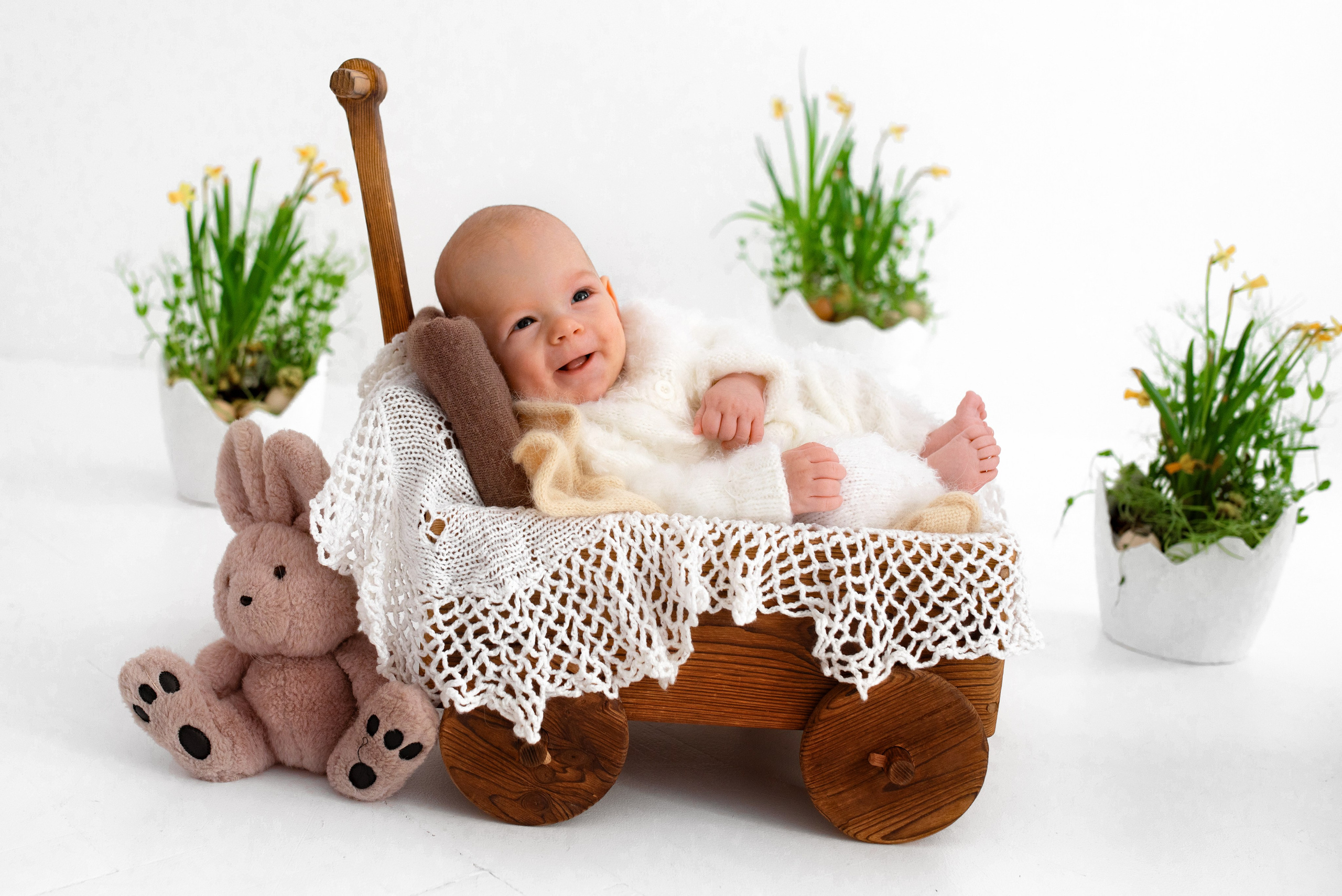 Лев (3 месяца)