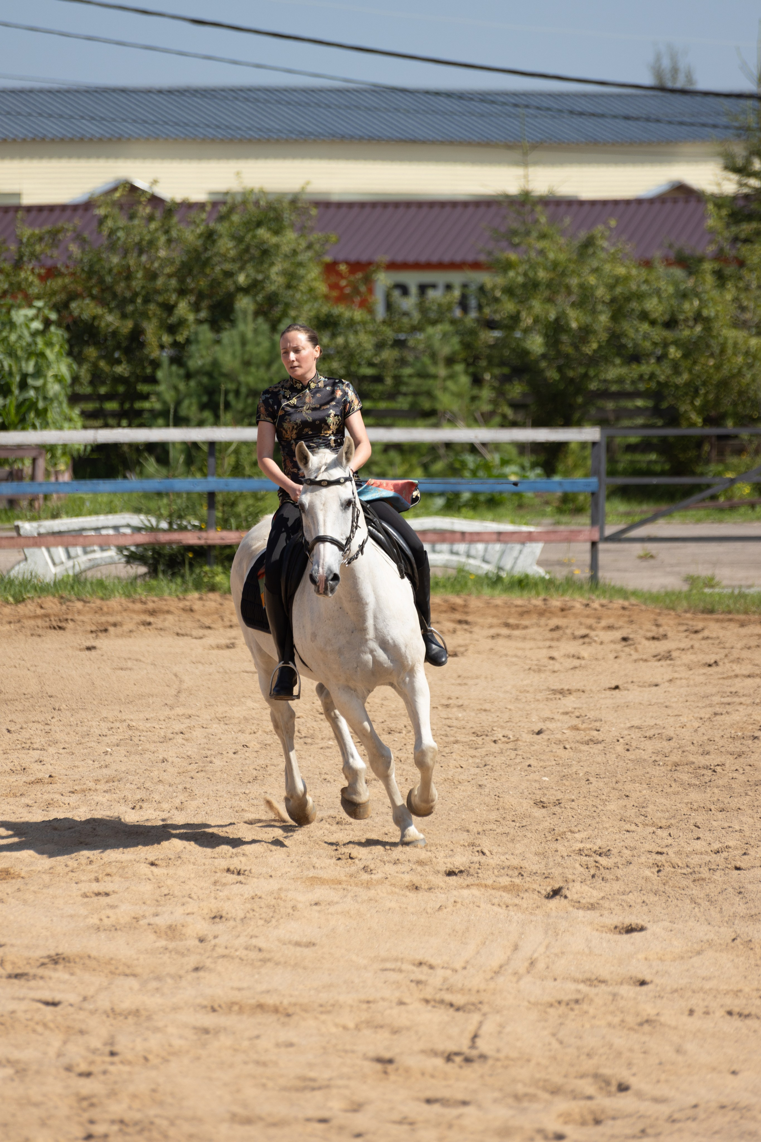 Конюшня. Фотограф в Москве и Истре