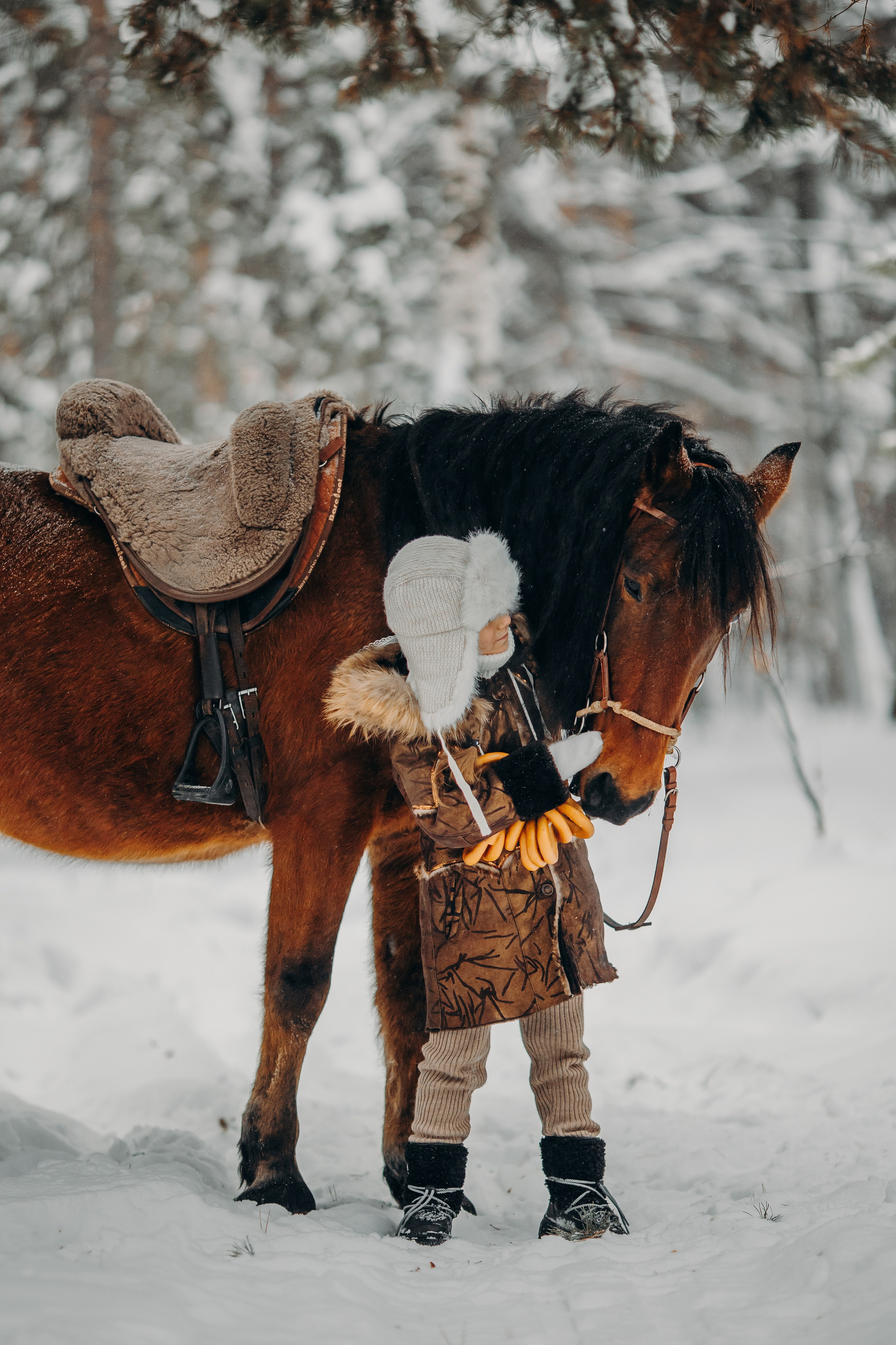 Тоша и баранки. Анна Молчанова конный фотограф в Тюмени | фотосессии с лошадьми Тюмень