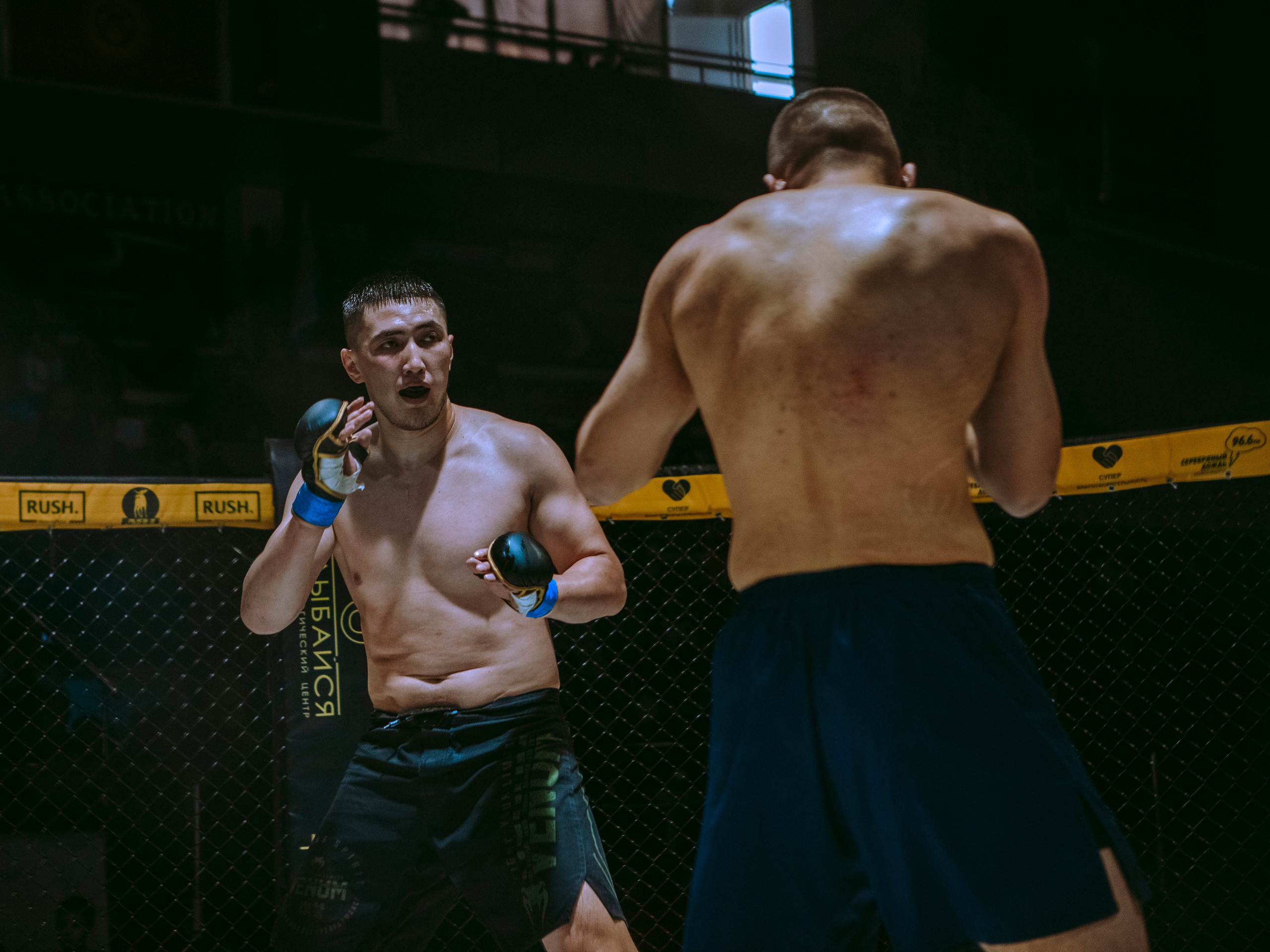 SFL 17 | Siberian Fighting League. Портретный фотограф в Москве Дарья Цезария