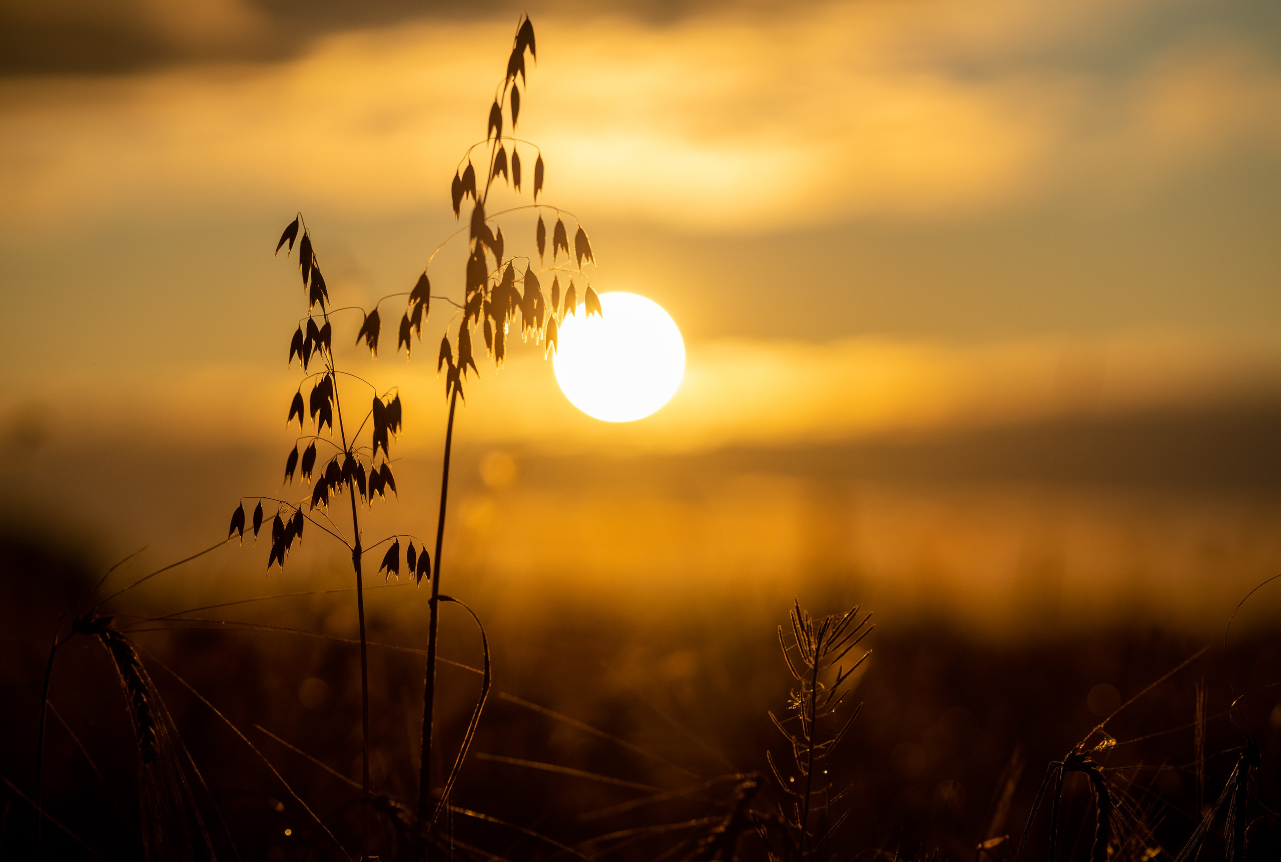 Природные пейзажи. Наталия Клевинскас портретный фотограф в Костроме