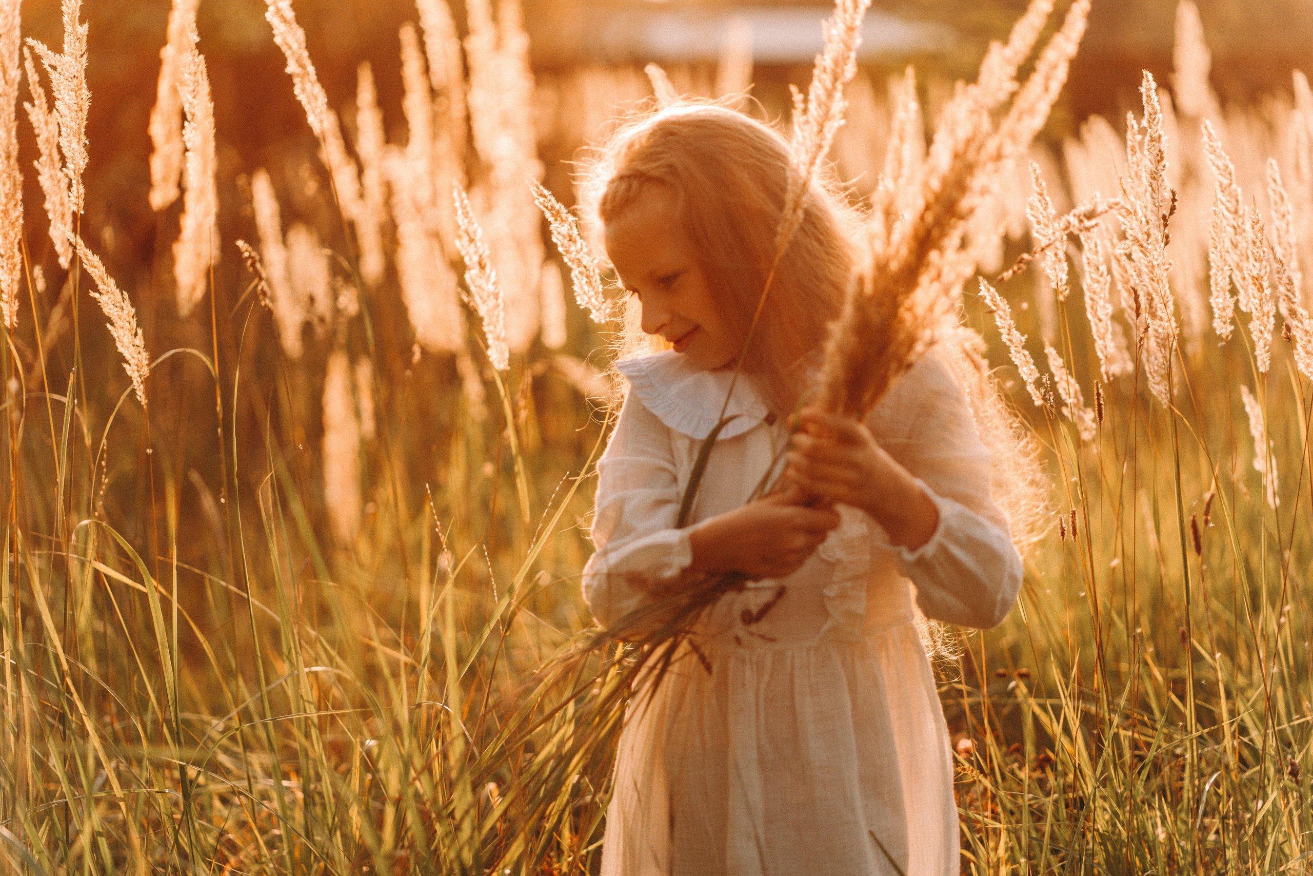 Летнее золото в волосах. Главная