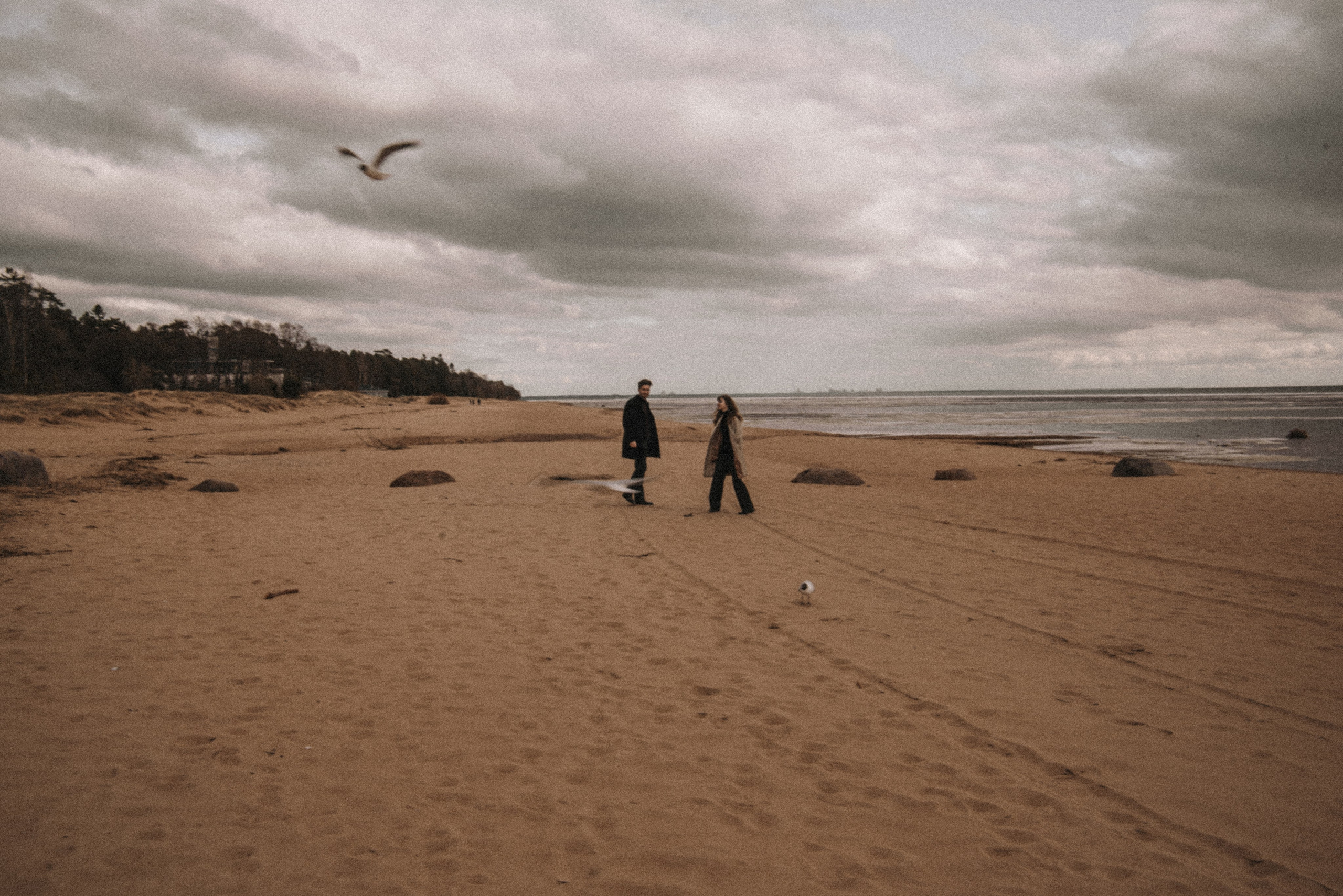 Иоанна и Егор. Финский залив. Свадебный фотограф в Санкт-Петербурге София Шубик
