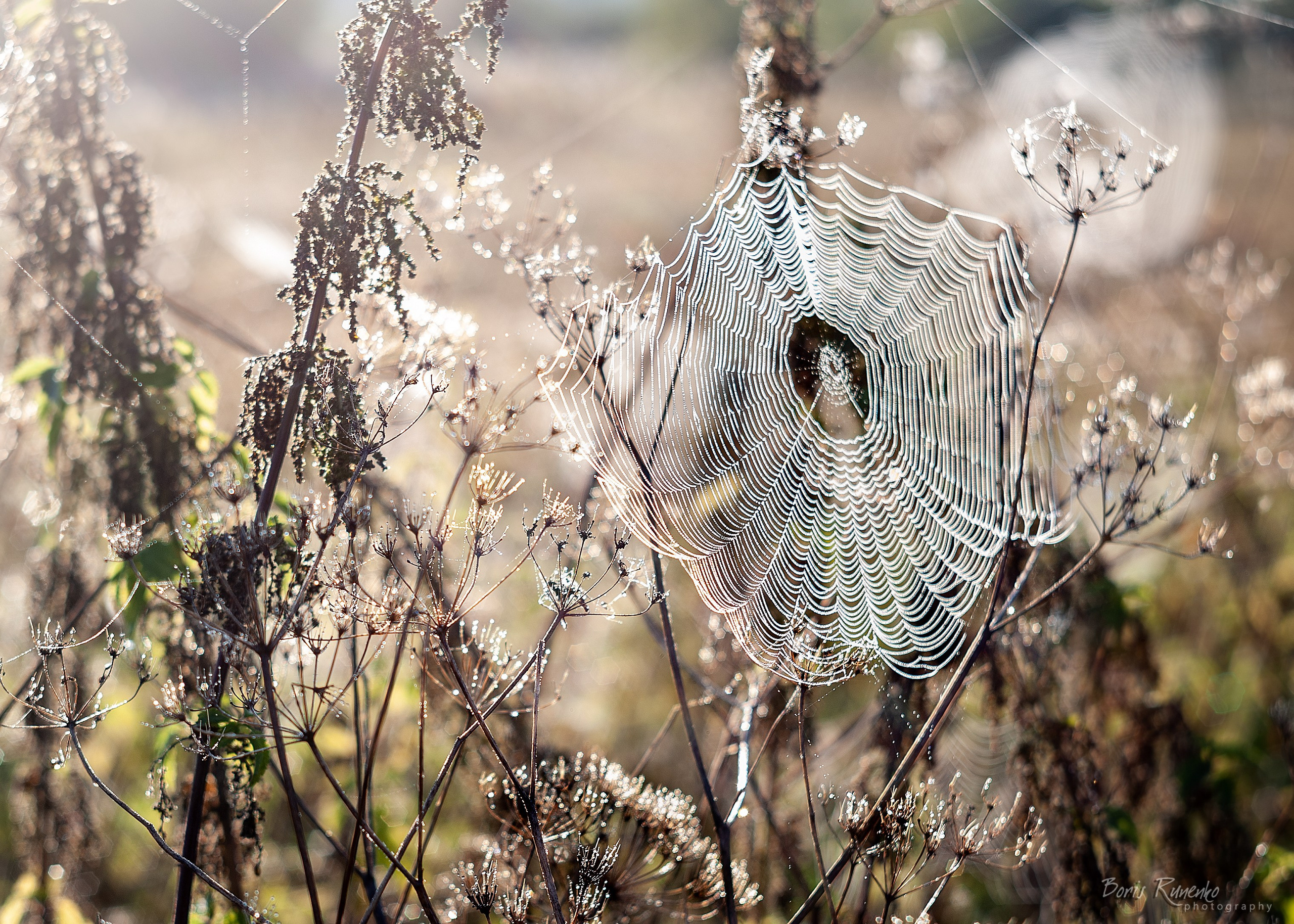 Пейзажный альбом 1. Борис Руненко. Пейзажный и travel-фотограф