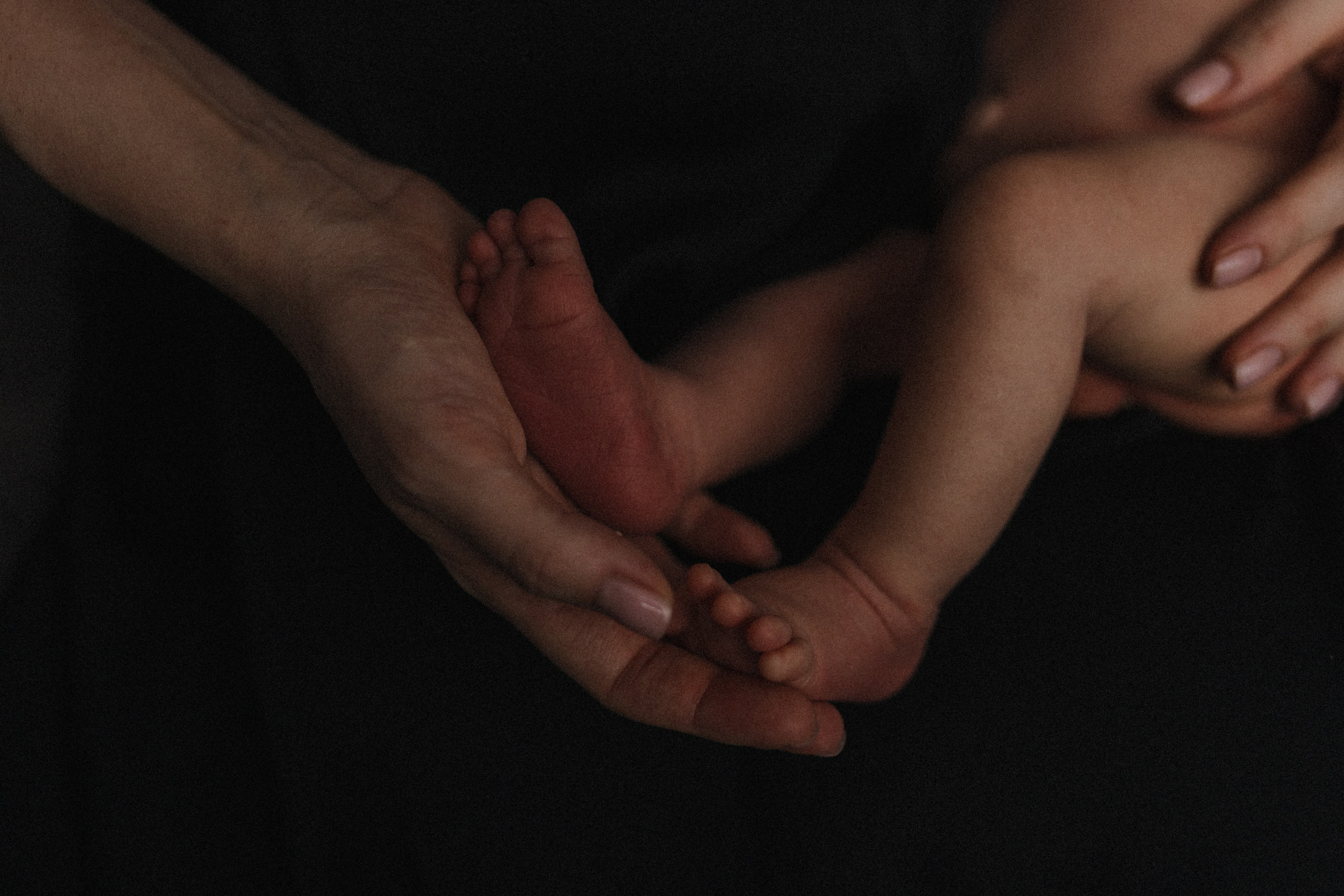 Лев. Семейный фотограф в Москве и Люберцах Юлия Гуськова