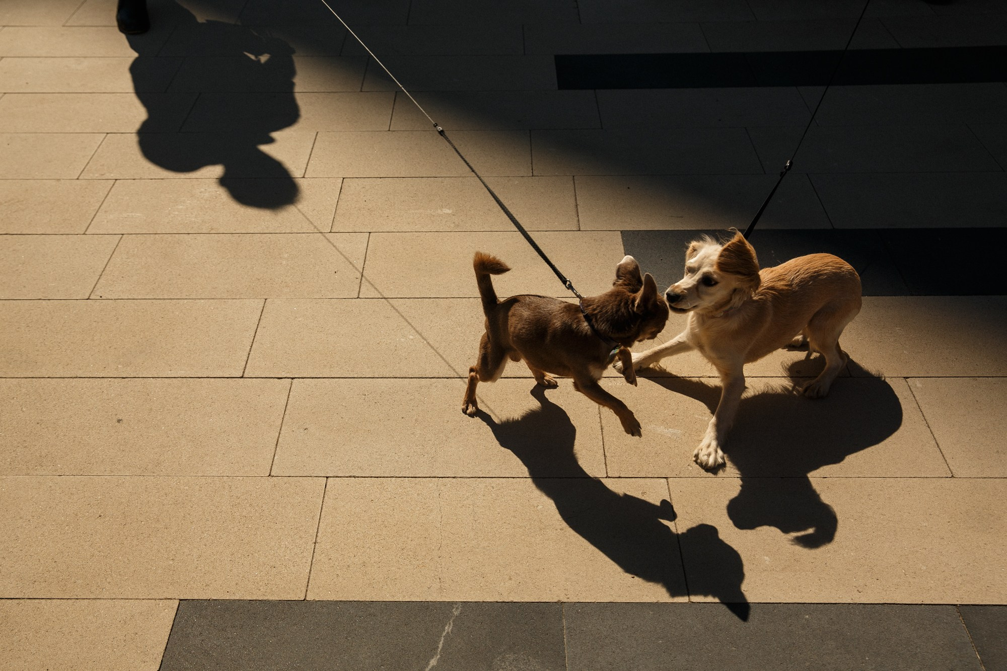 ОТКРЫТИЕ ПАМЯТНИКА. Рабочая сторона — бизнес портрет и репортаж в Санкт-Петербурге