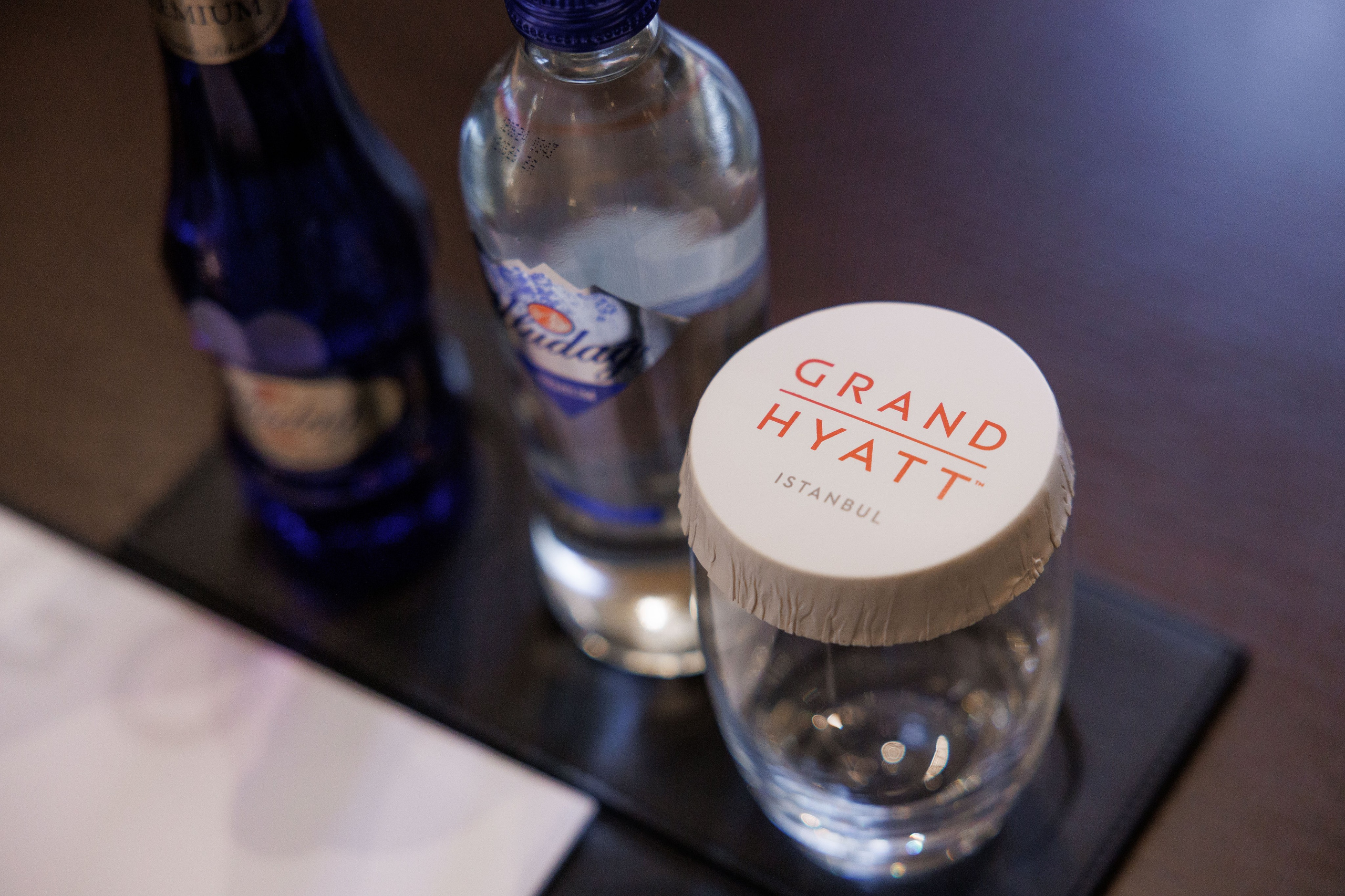 Рязанская делегация. About