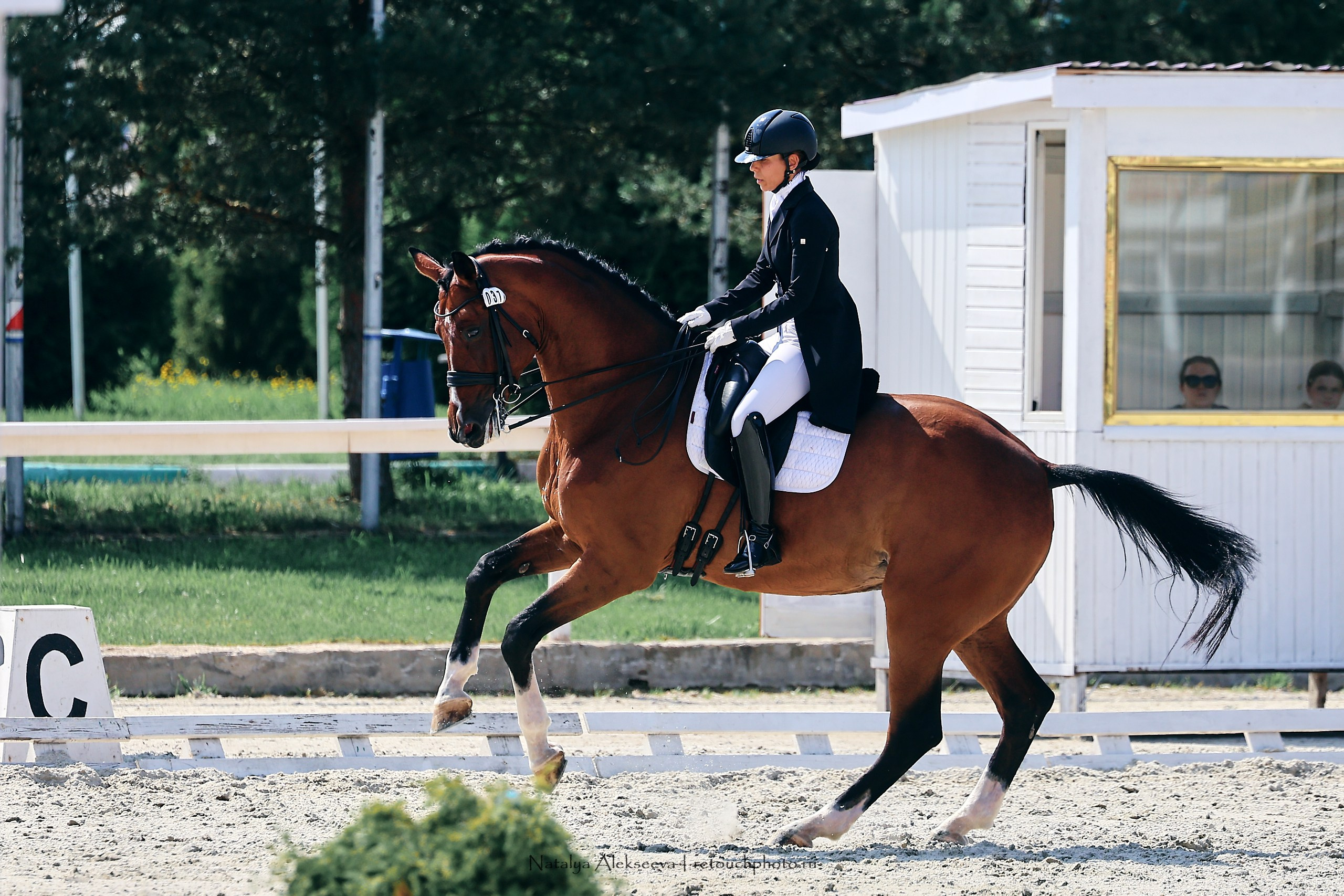 Личный ЧР по выездке, КСК Конаковские конюшни | 08'2023. Репортажный фотограф и ретушер в Москве Наталья Алексеева