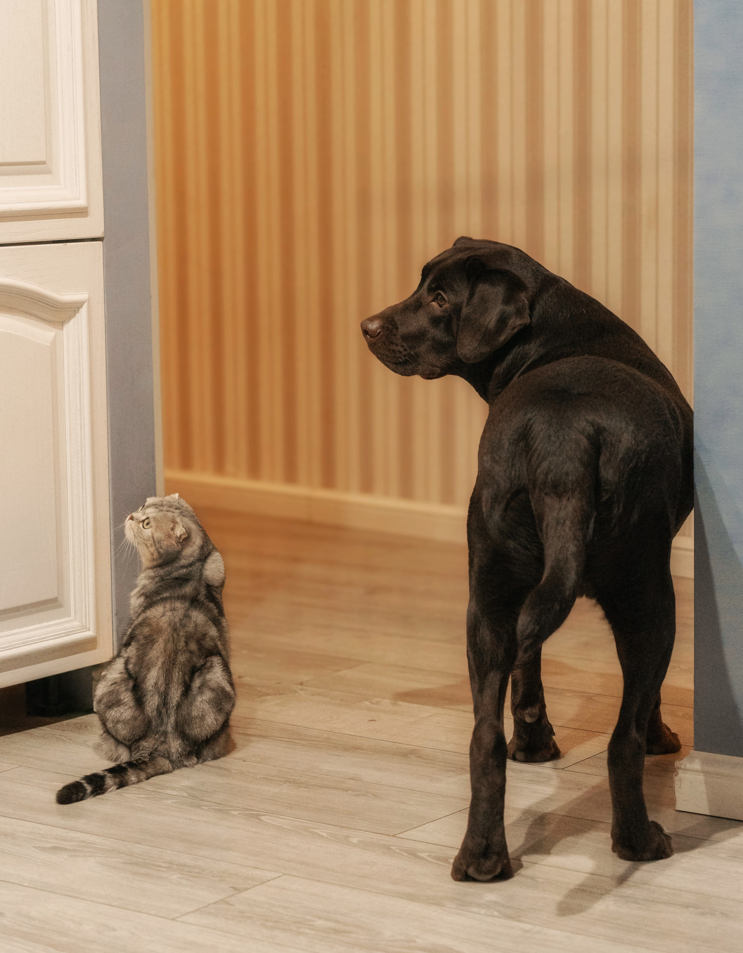 Волшебство. Семейный фотограф анималист г. Находка