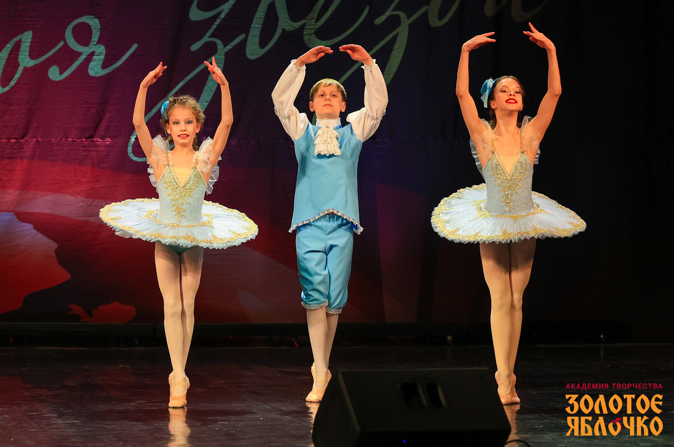 7 февраля, г. Петрозаводск. Золотое яблочко