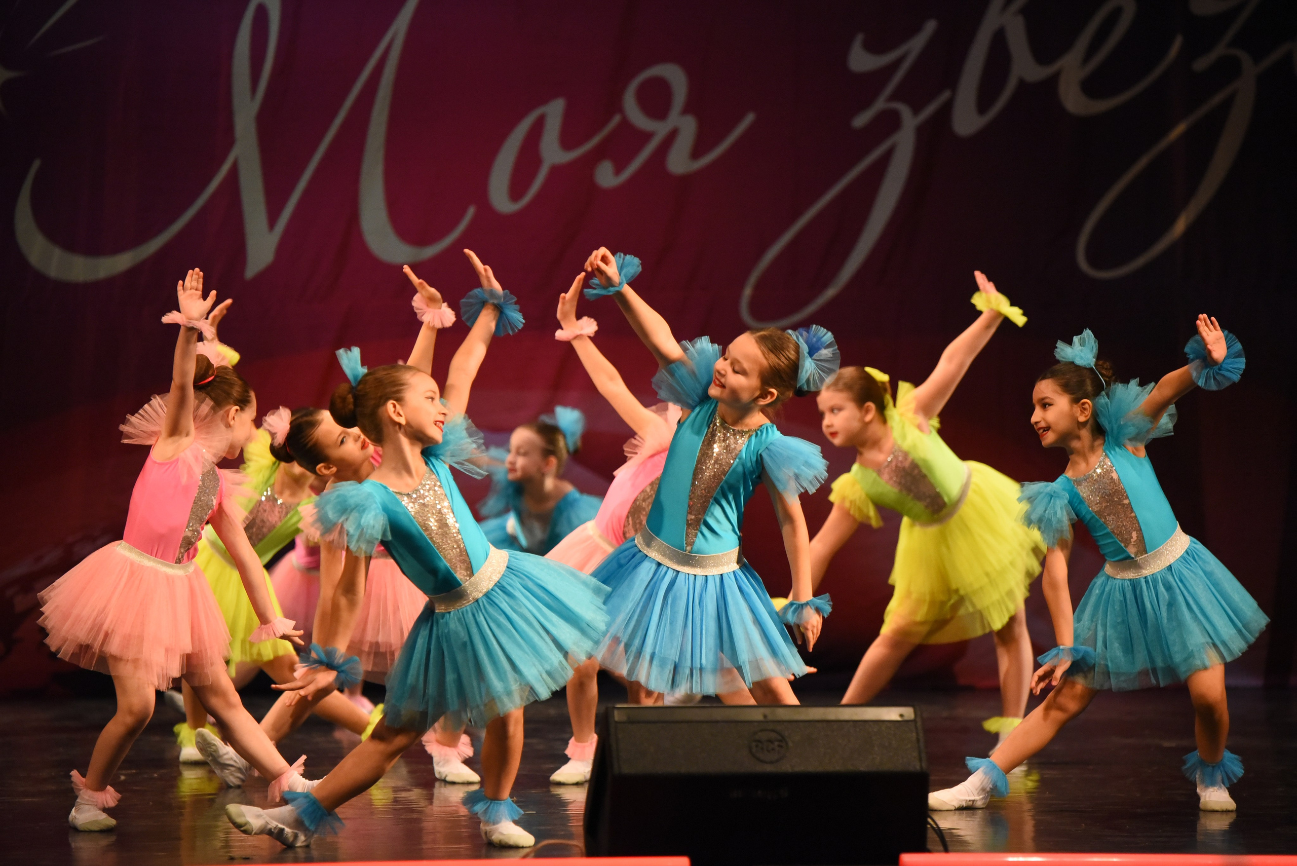 13 декабря, г. Калининград. Золотое яблочко