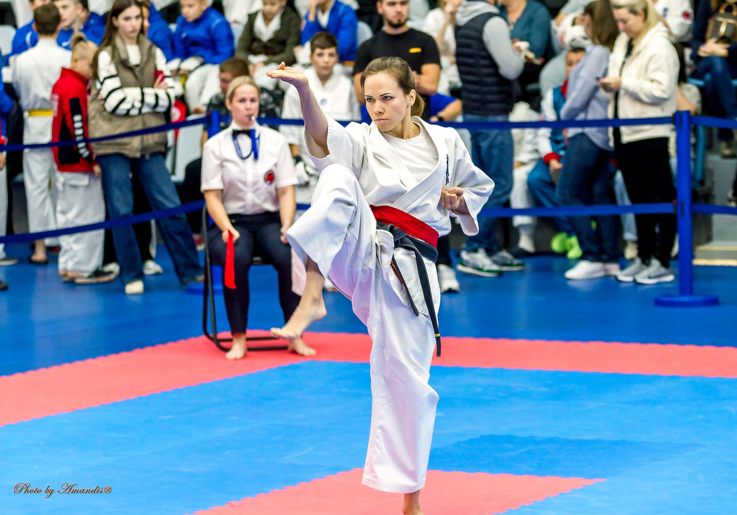 Чемпионат по Киокушинкай Центрального Федерального округа. Репортажная съемка в Москве и области. Анималистика