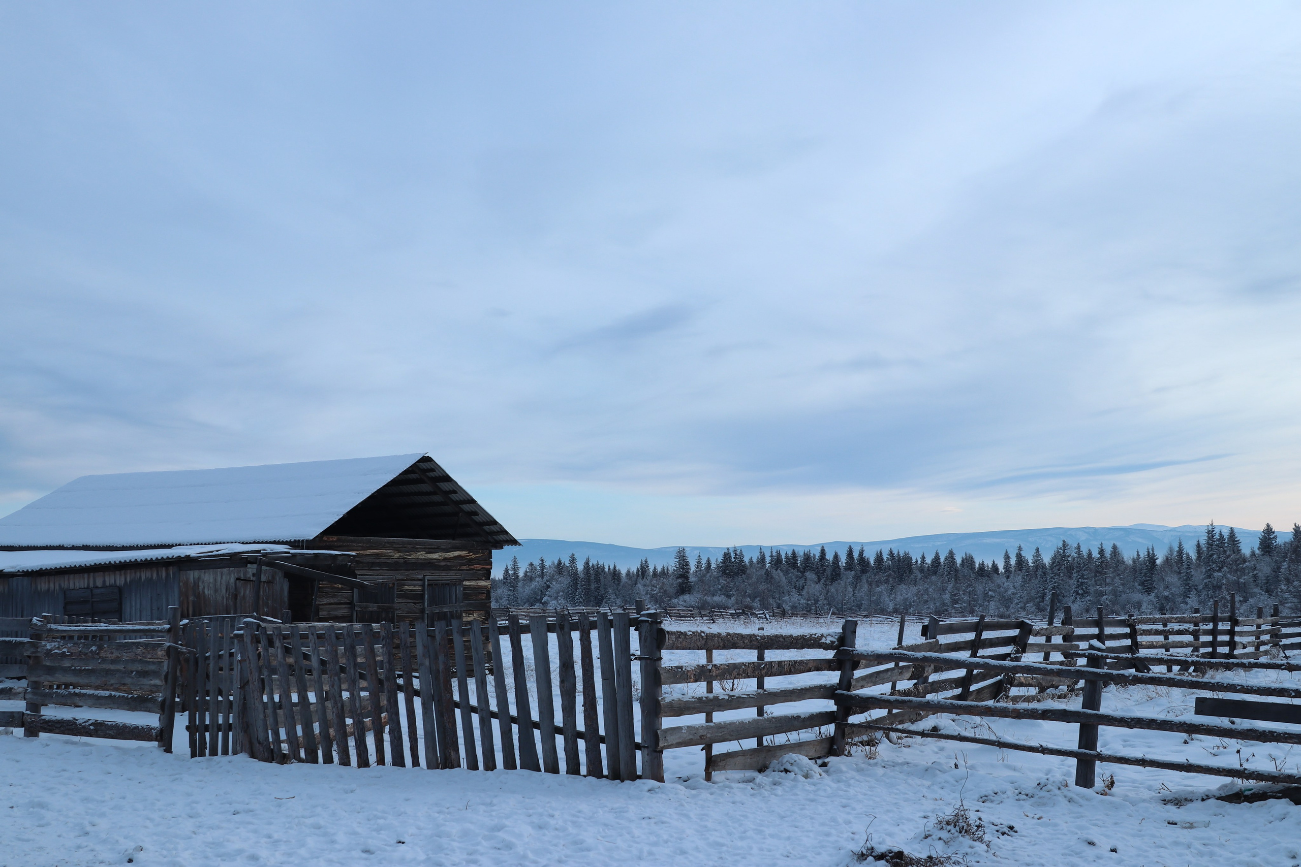 Аршан. Январь 2024. Путешественник-фотограф из Санкт-Петербурга Татьяна Свистулина