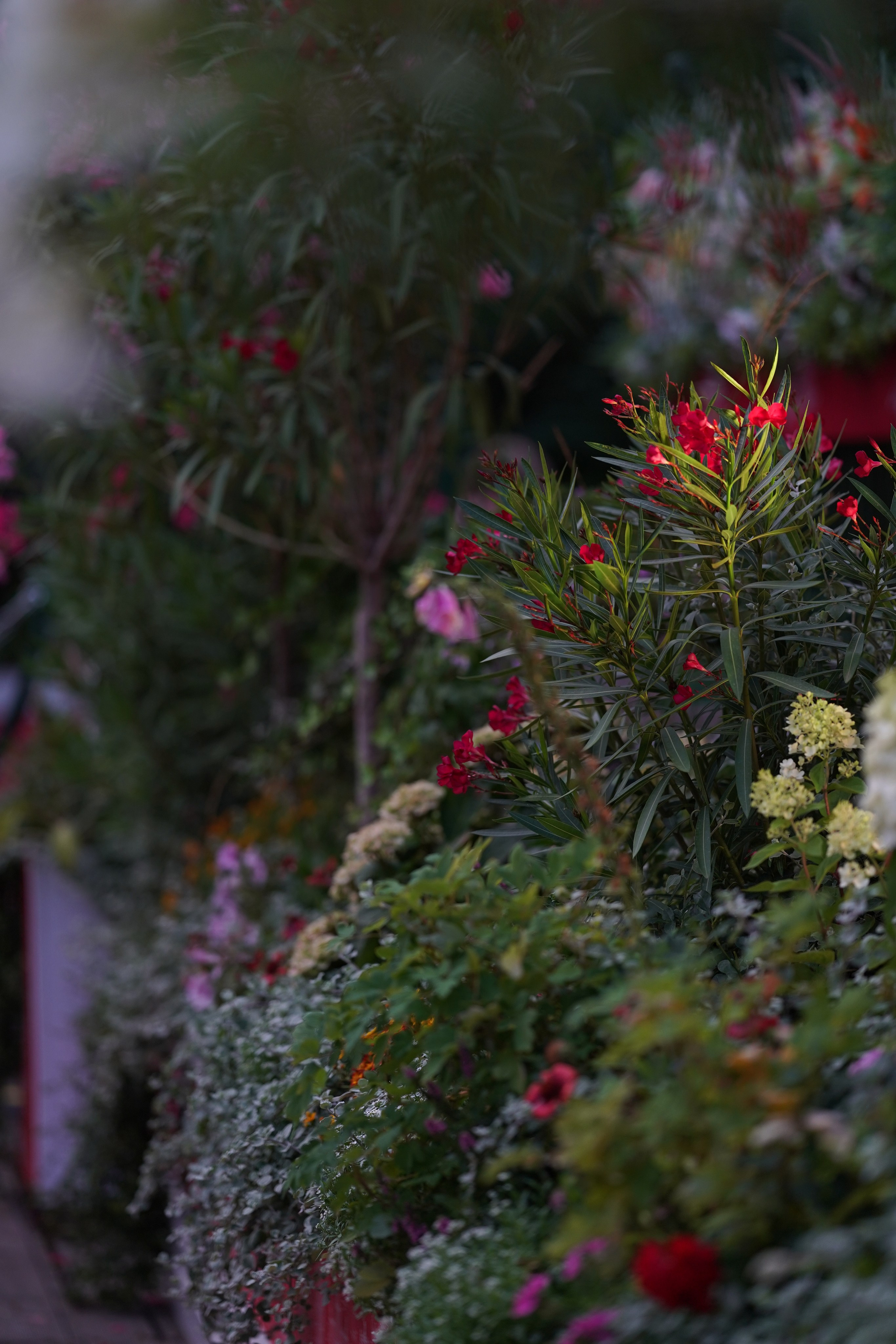 Московское чаепитие. Московские сезоны. Фотограф в Москве Мария ~Zagagul~