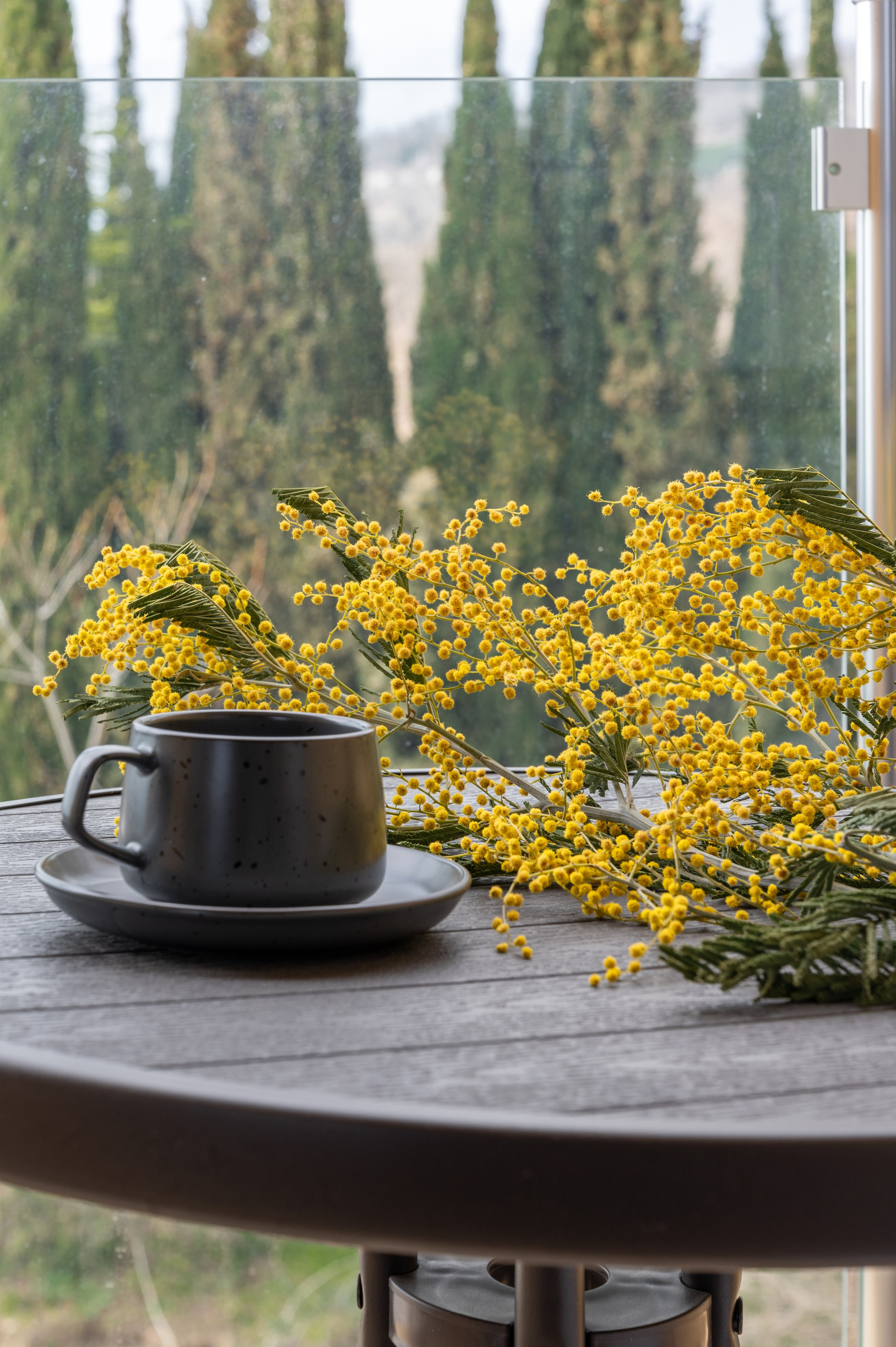 Апартаменты 4. Мария Кобзева, фотограф в Ялте, Крым